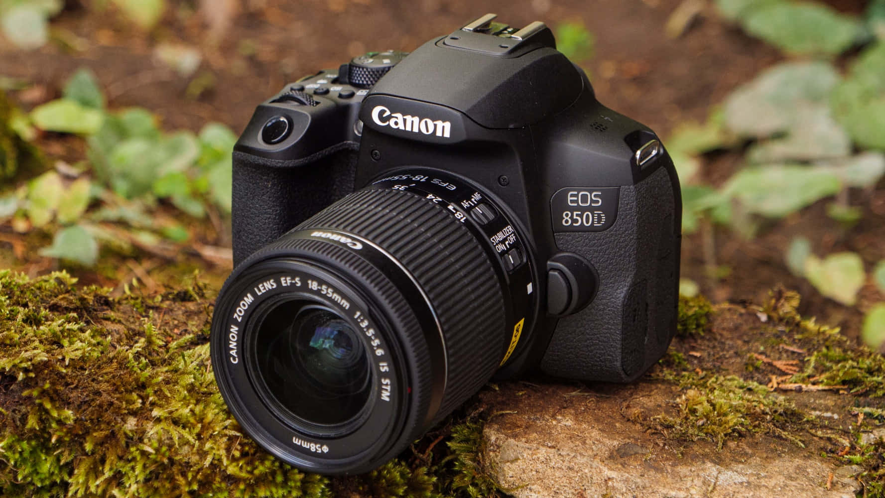 森林中長滿苔蘚的石頭上的Canon EOS 850D相機（18-55mm鏡頭）