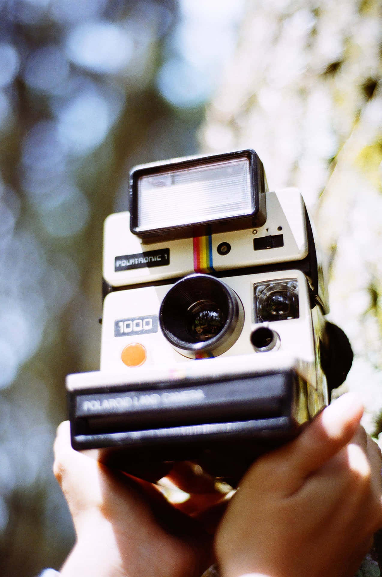 在陽光普照的森林中，雙手拿著一部復古Polaroid Land Camera 1000。