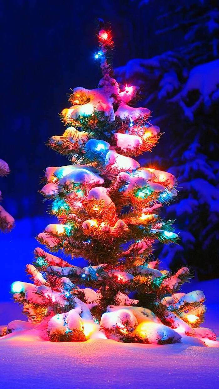 一棵被雪覆蓋的小樹在雪白的冬夜場景中被彩色燈光照亮。