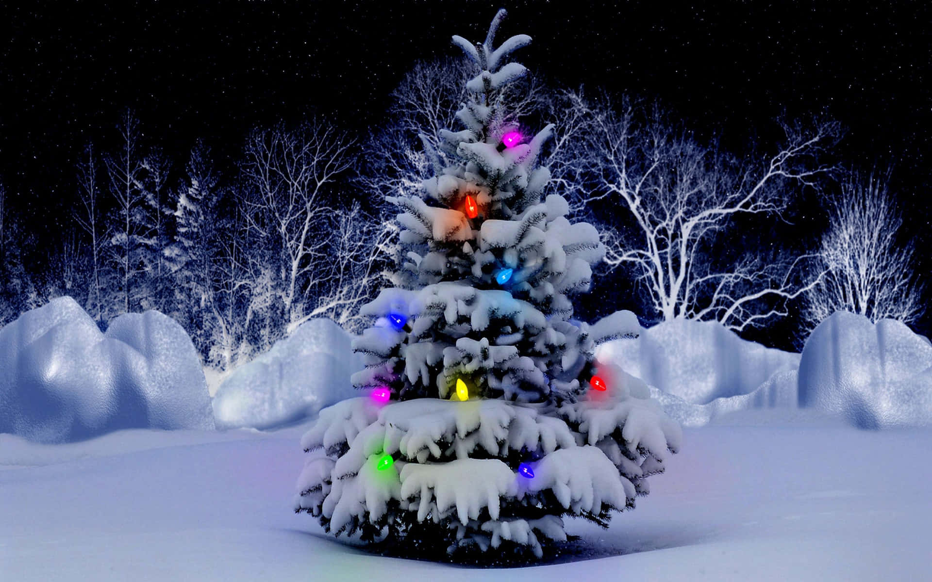 冬夜森林中，一棵被雪覆蓋的樹裝飾著五彩燈光。