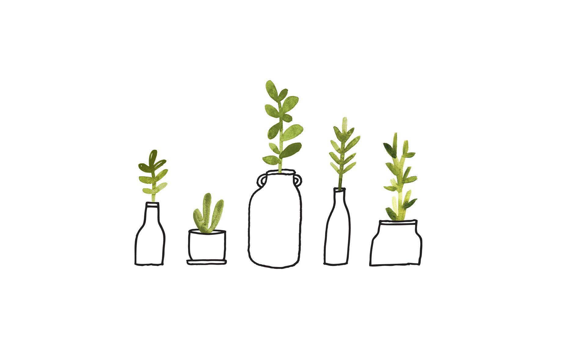 五個小盆栽植物，放在各種容器中，白色背景上帶有綠色葉子。