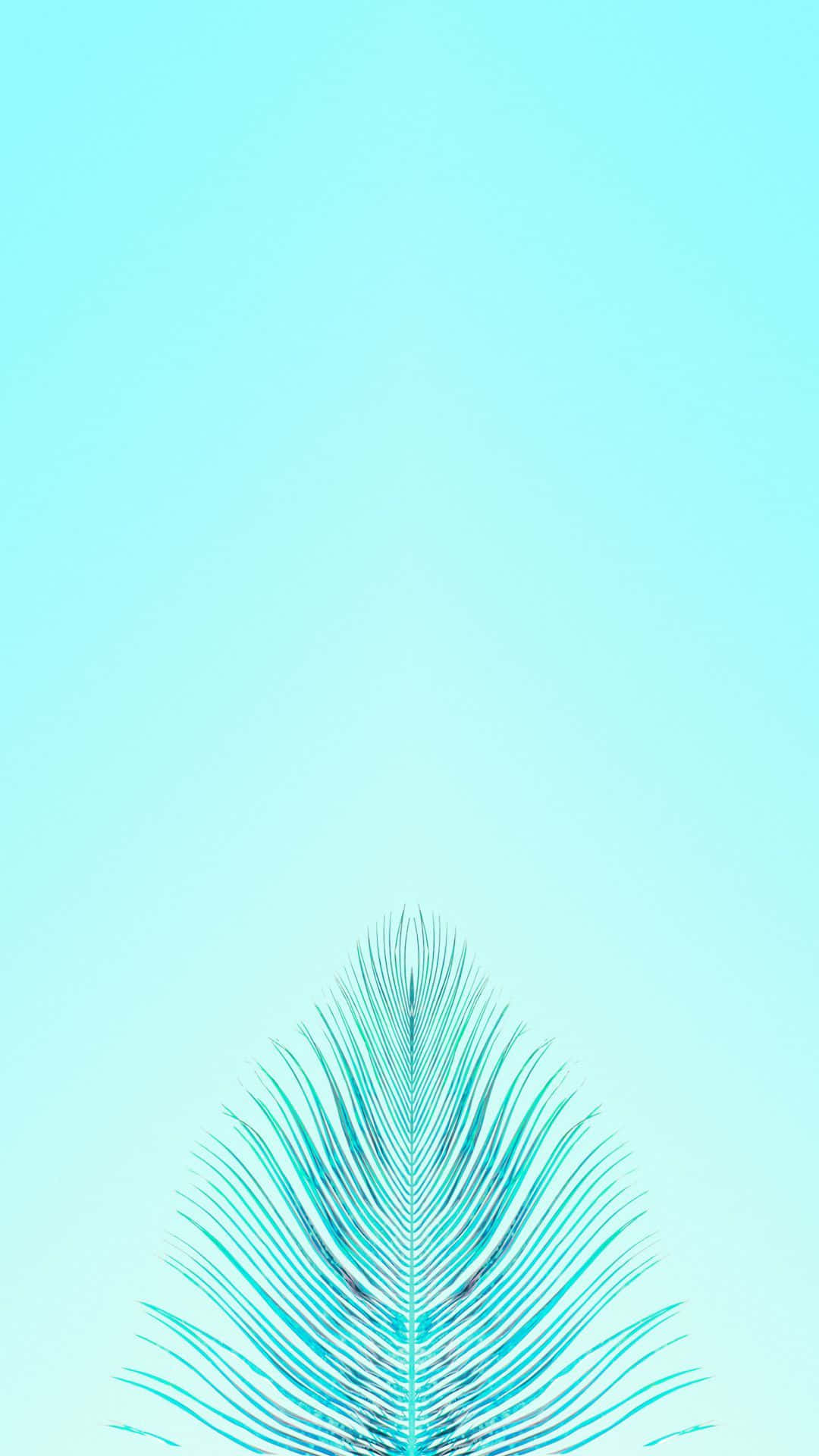 用這款絕美青綠色 iPhone 拍攝與分享生活 壁紙 — 一片單一的青綠色棕櫚葉從底部浮現，背景是柔和的漸變天藍色。