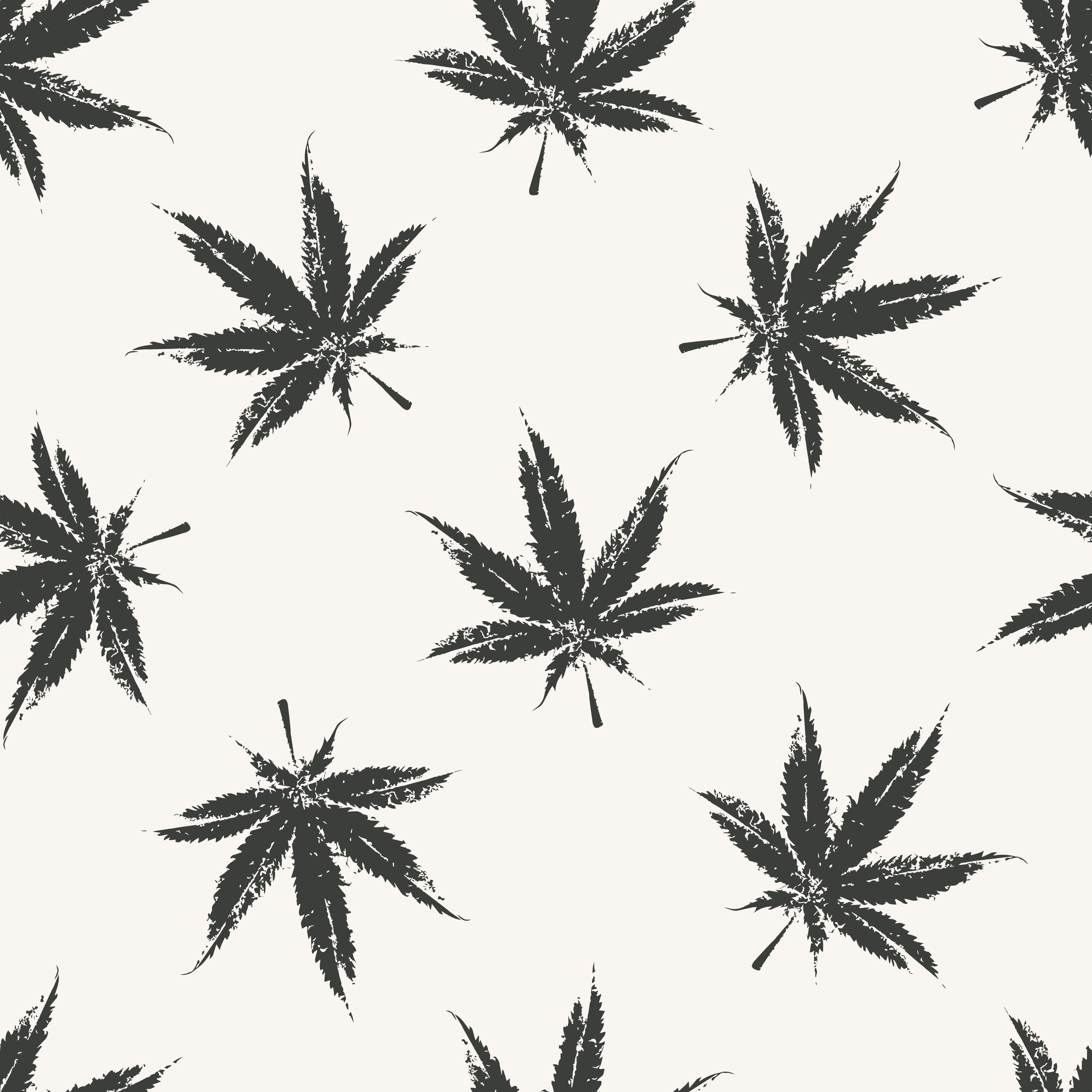 用高品質大麻放鬆減壓 壁紙