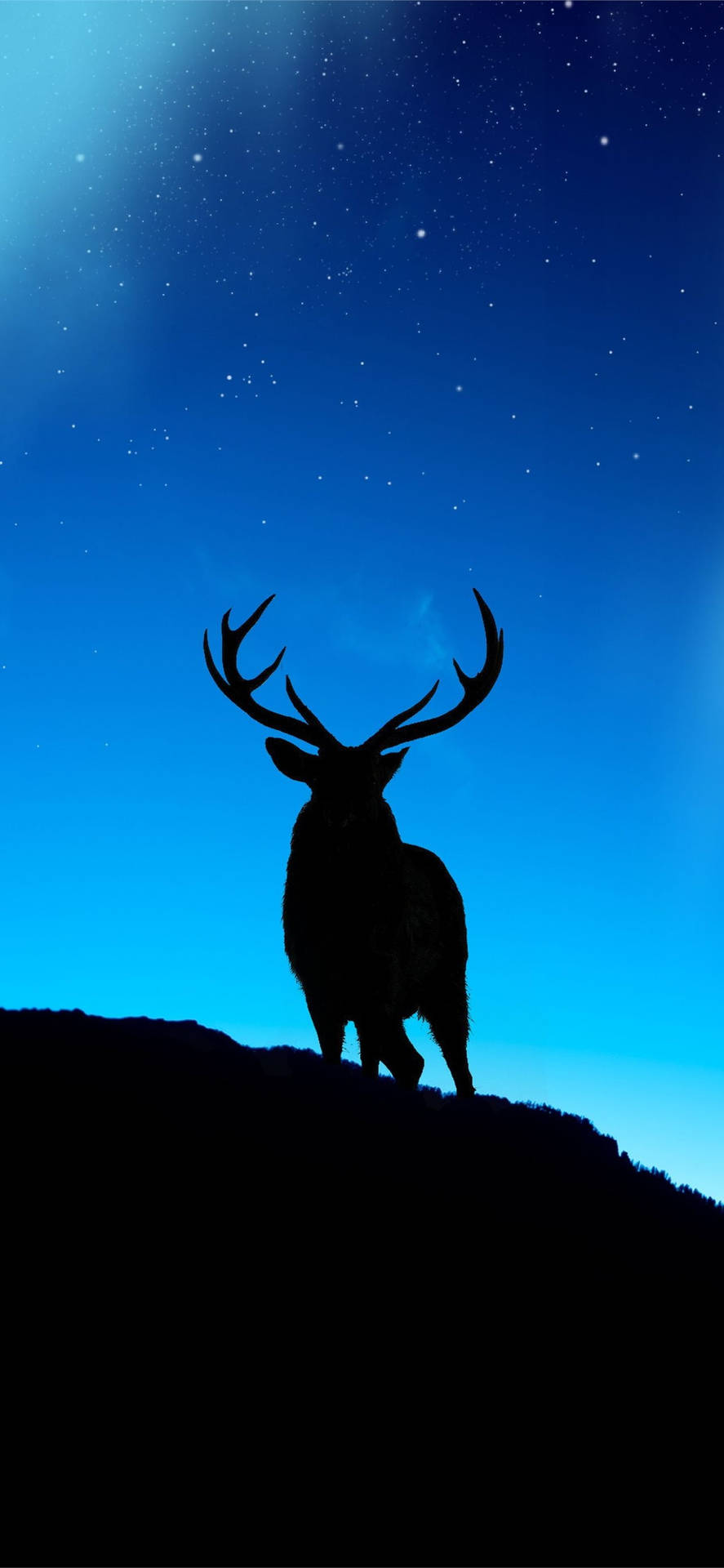 雄鹿剪影站在山丘上，背景是星空夜空。