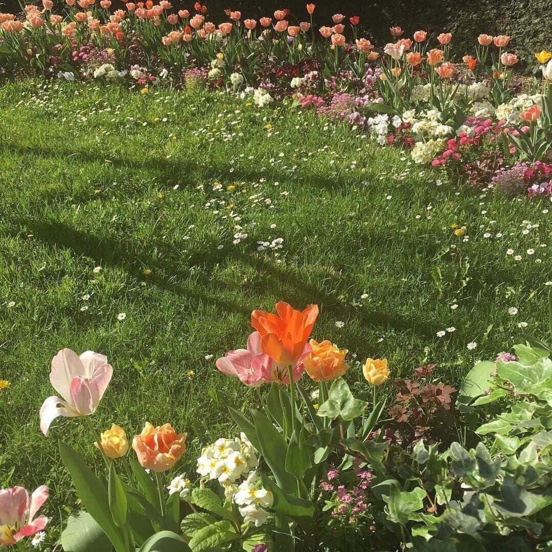 田園小屋背景 壁紙