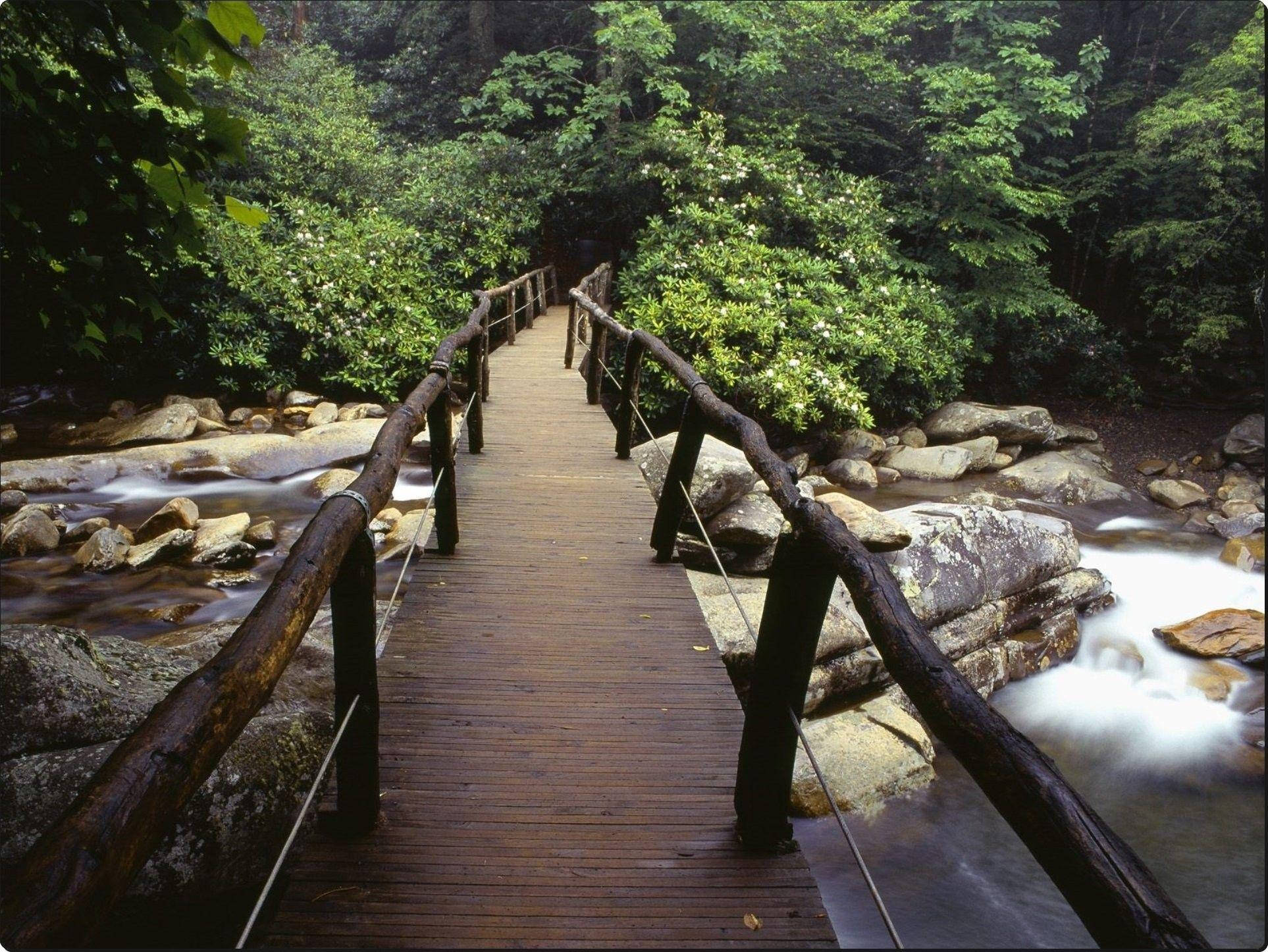 田納西州煙霧山木橋 壁紙 — 一條帶有鄉村風格欄杆的木製行人橋橫跨一條流經茂密綠色森林的湍急溪流。