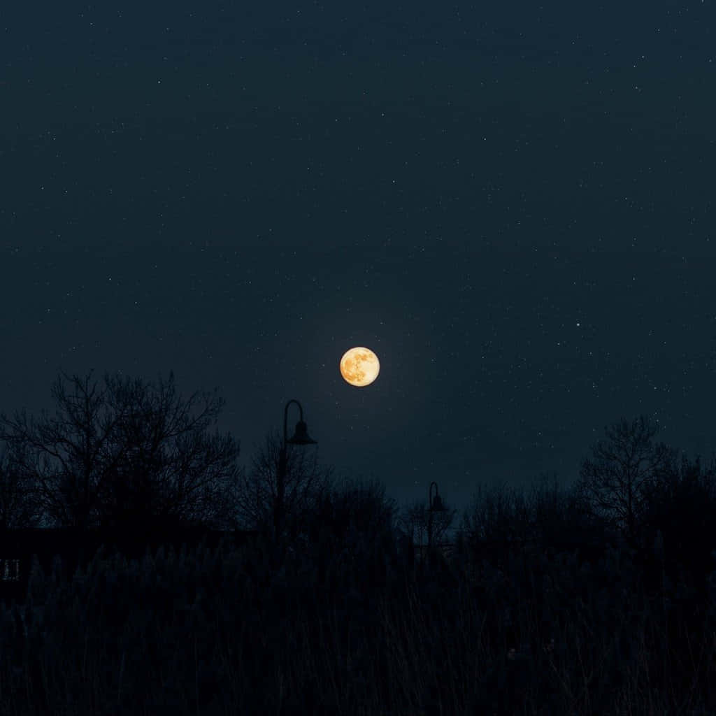 田野夜空與月相圖 壁紙 — 一輪明亮的滿月在繁星點點的夜空中閃耀，映襯著剪影般的樹木和復古路燈。