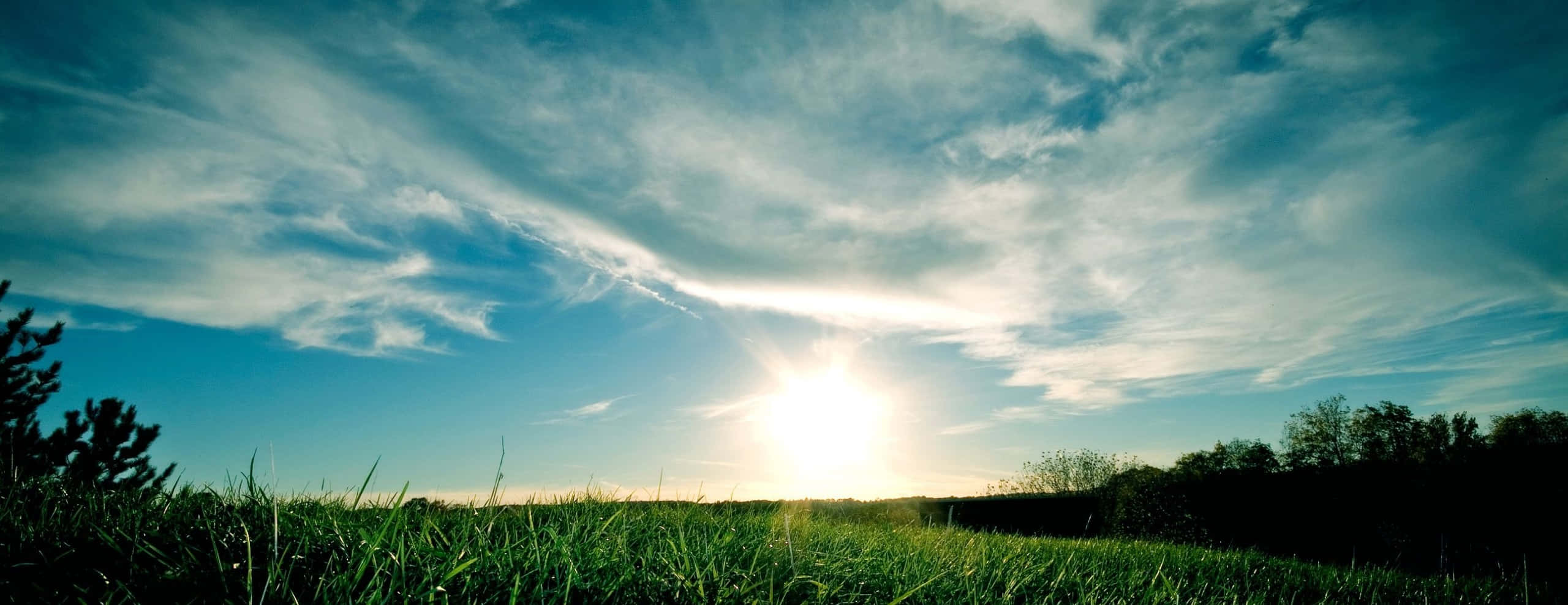 田野風景晴日 壁紙 — 陽光穿透薄雲，照耀著一片生機勃勃的綠色田野，地平線上有樹木的剪影。