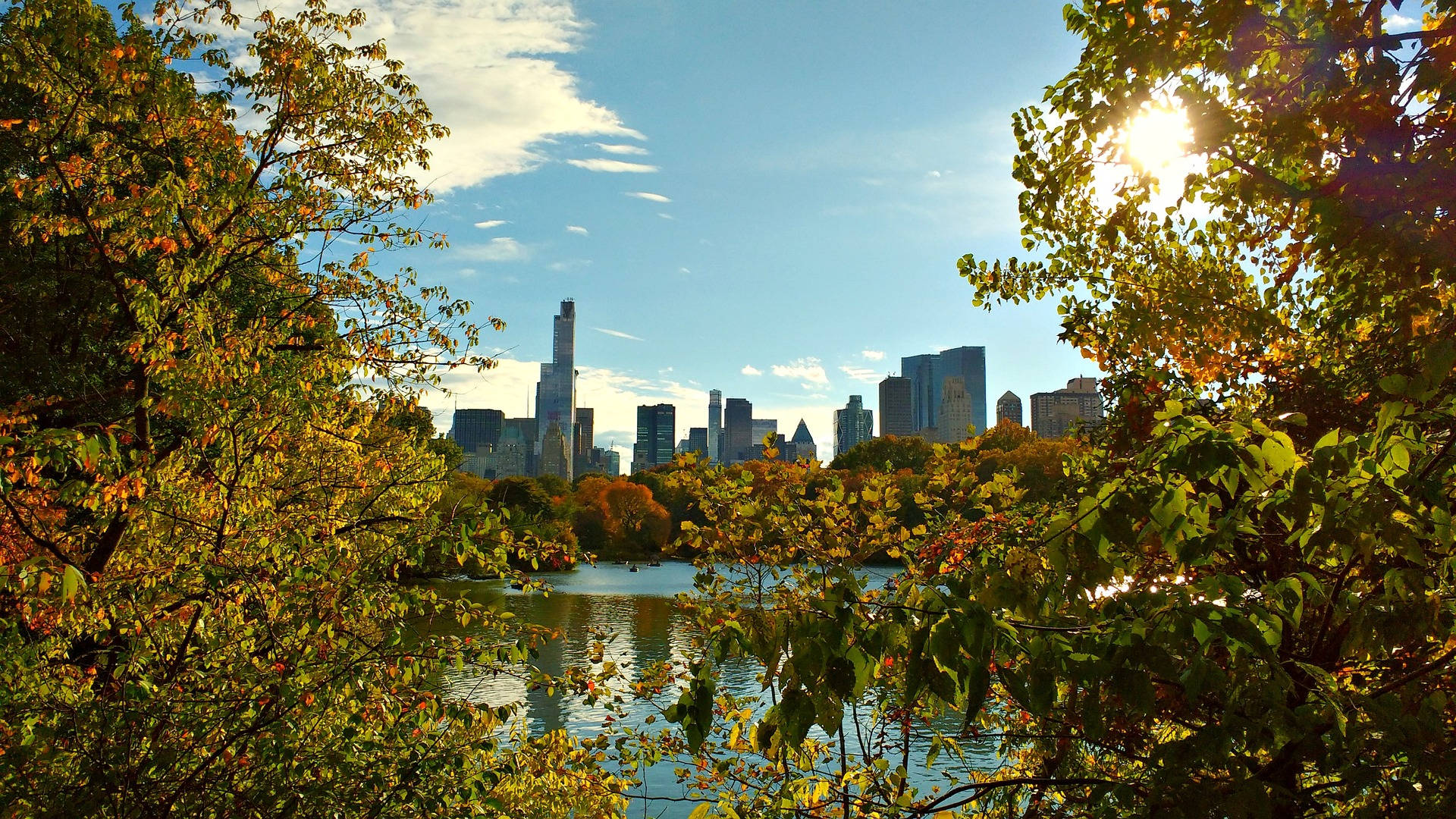 由中央公園樹木框景的城市風景 壁紙 — 金黃色的秋葉環繞著寧靜的湖泊，在明亮的藍天下映照出紐約市的天際線。