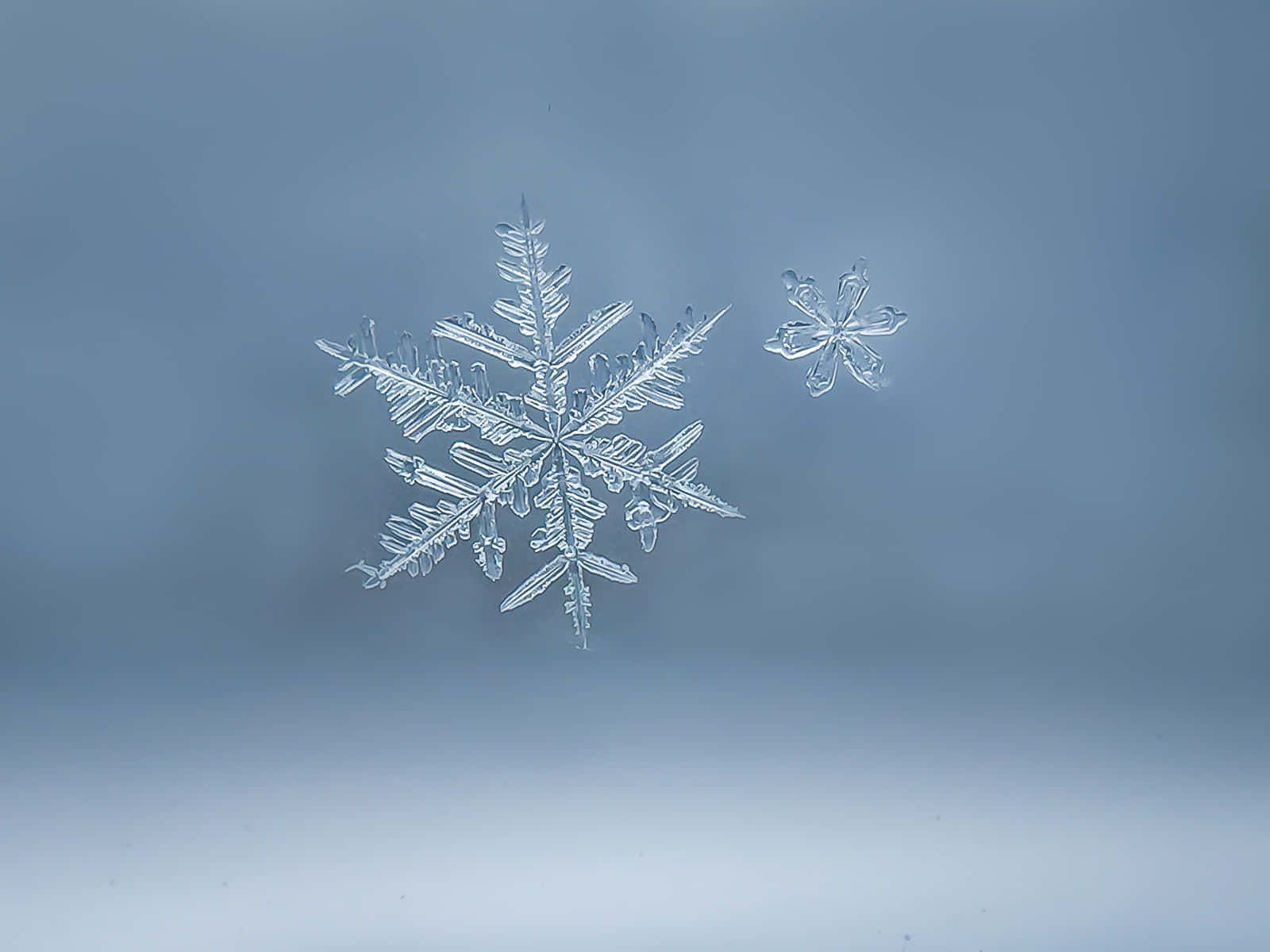 由結晶冰晶構成的美麗雪花圖案 壁紙 — 精緻複雜的雪花，帶有細緻的晶體臂，靜置在清涼的藍色玻璃表面上，背景是柔和的漸變色。