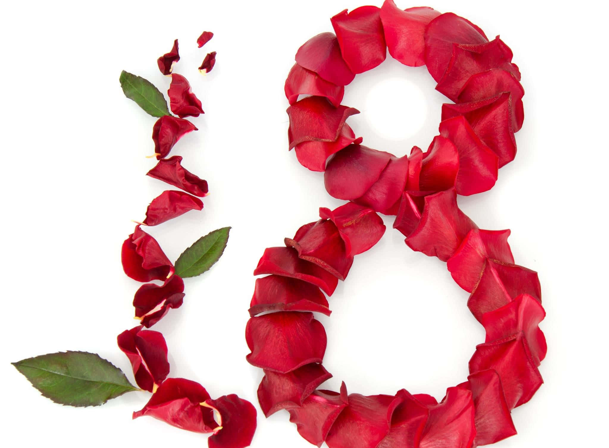 Rose Petal 桌布 壁紙 — 由鮮豔的紅玫瑰花瓣和綠葉組成的數字十八，背景為純白色。
