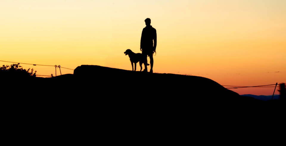 男人與可愛幼犬摯友 壁紙 — 一個人和一隻狗站在山頂上，夕陽西下，身後是溫暖的橙色天空的剪影。