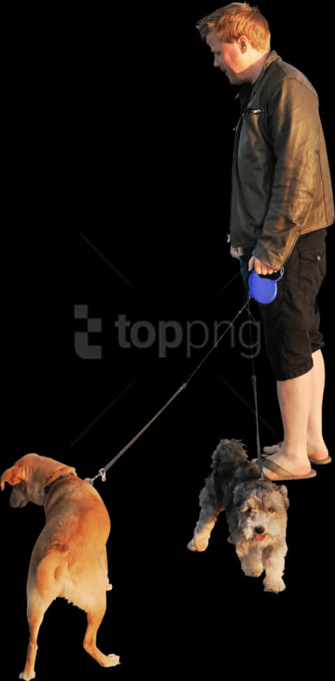 男子夜間遛狗 壁紙 — 一個穿著皮褸的男人，在純黑色背景下用狗帶遛兩隻狗。