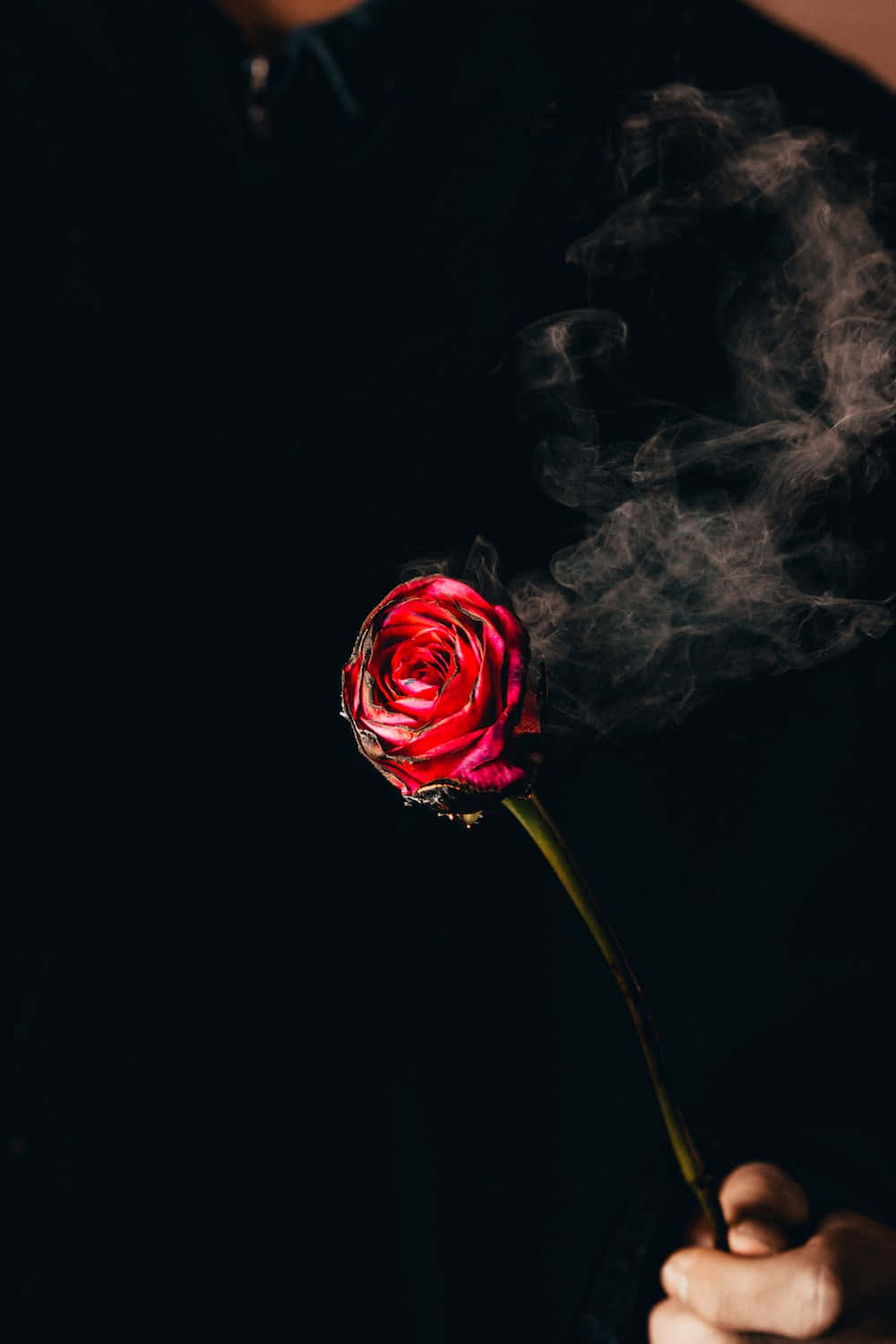 男子手持冒煙的紅玫瑰 壁紙 — 一隻手拿著一朵冒煙的紅玫瑰，背景為黑色，縷縷輕煙向上繚繞。
