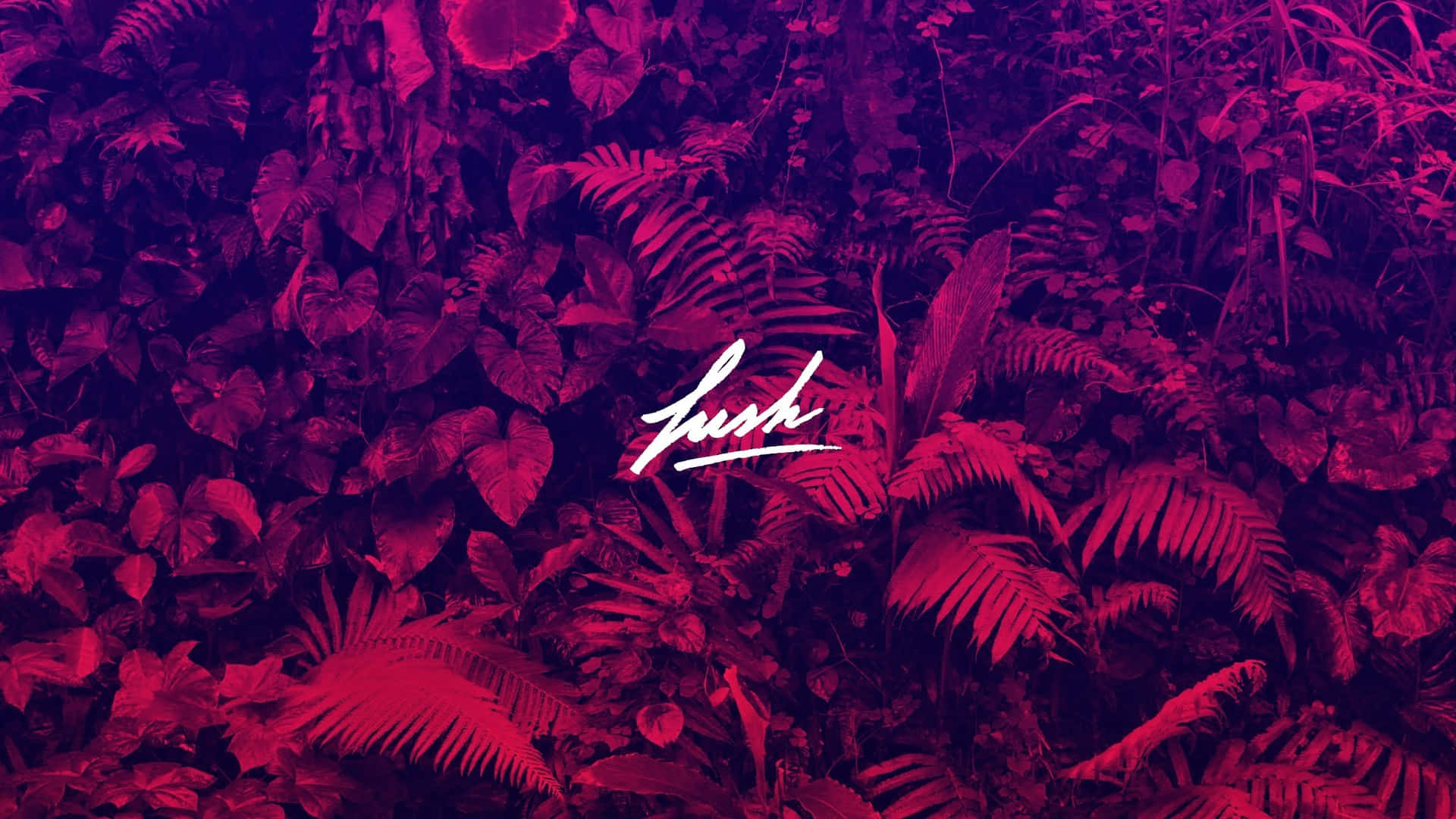 洋紅色和紫色的熱帶叢林樹葉，帶有白色草書 'lush' 標誌。