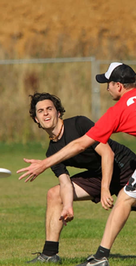 男對手對決 Android Ultimate Frisbee 背景 壁紙 — 兩名男子在草地上激烈競爭，一人撲向飛行的飛盤試圖接住，另一人則防守。