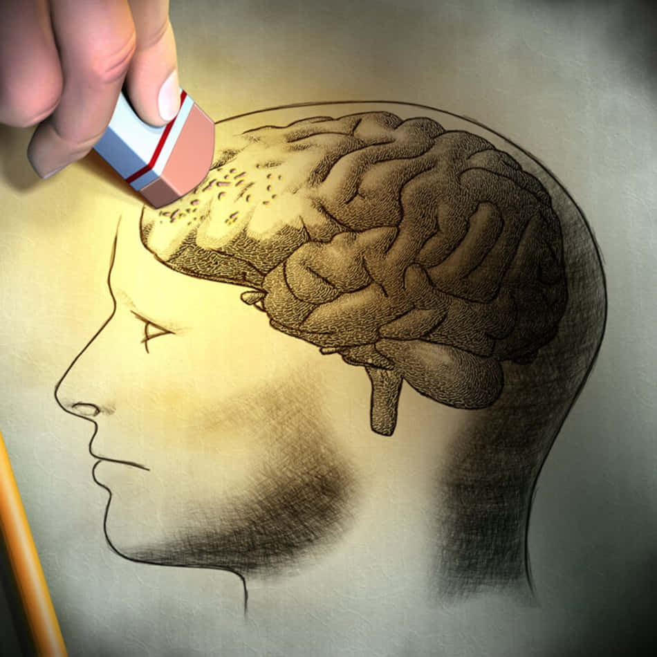 留下回憶 壁紙 — 一隻手正在擦除用鉛筆畫在紙上的人類頭部輪廓內的部分大腦。