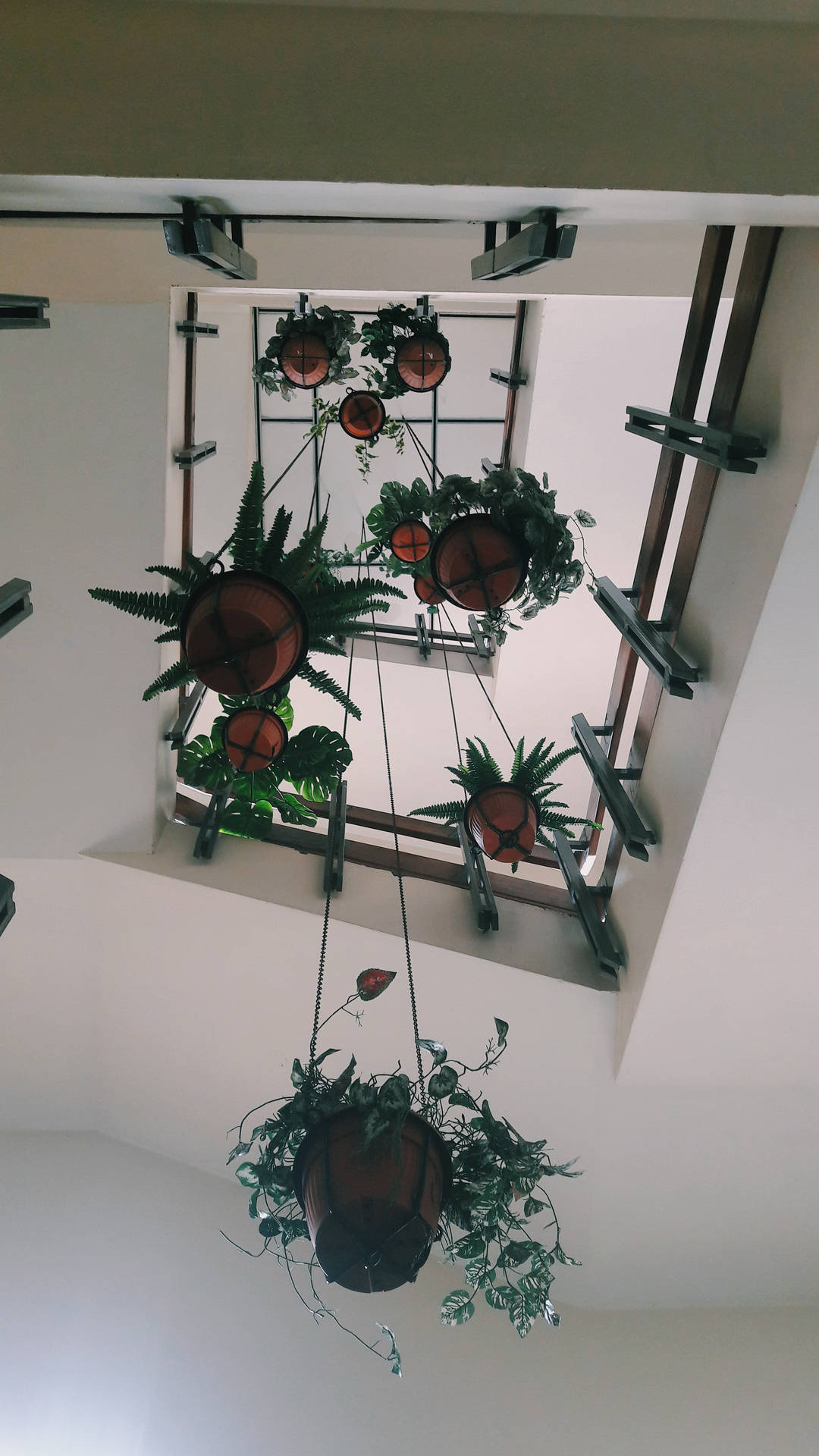懸掛於天花板的盆栽綠植美學壁紙