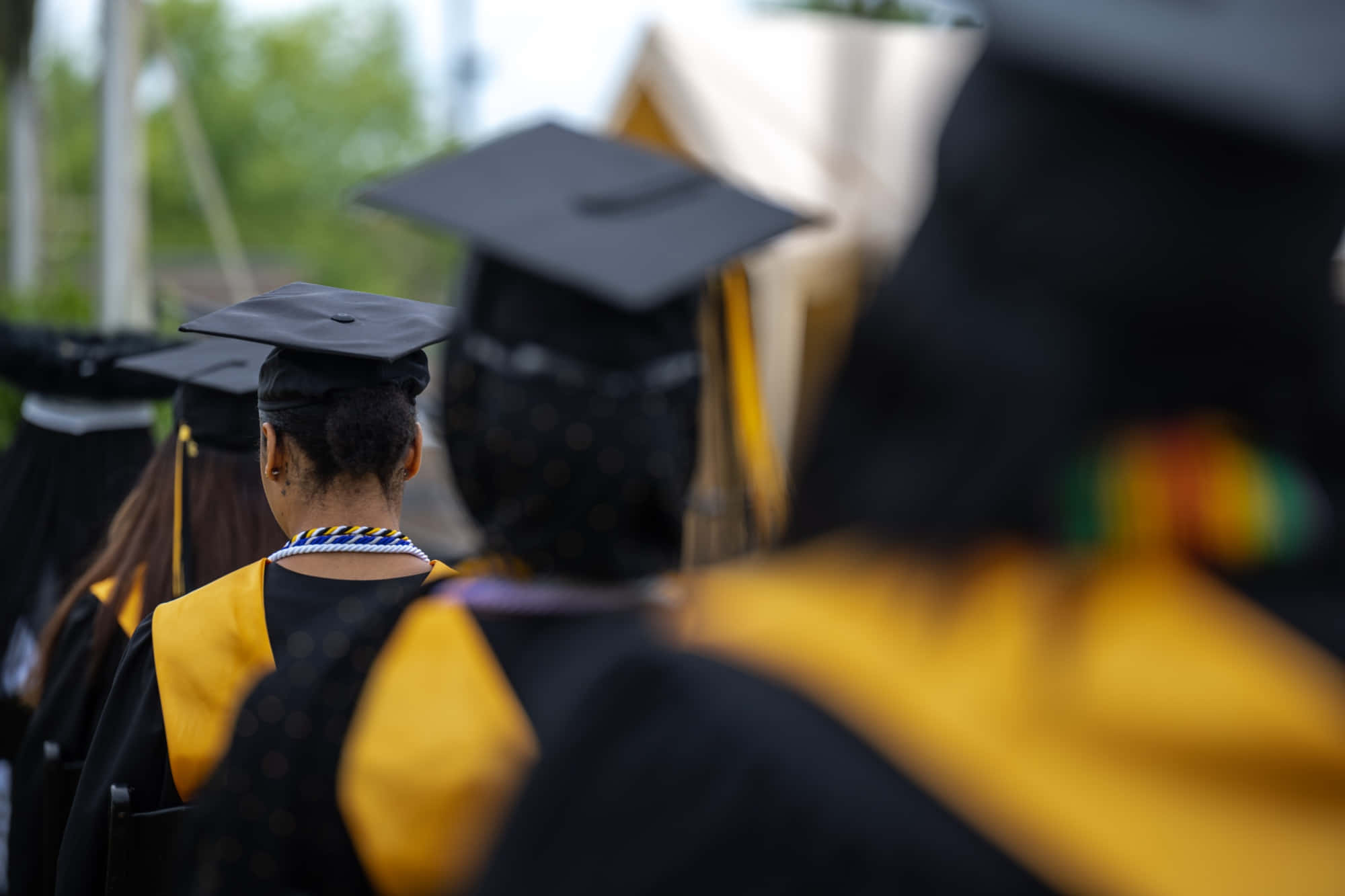 Graduation Ceremony 桌布 壁紙 — 畢業生戴著黑色四方帽、穿著黃色畢業袍，在儀式中排隊，背景是模糊的綠植。