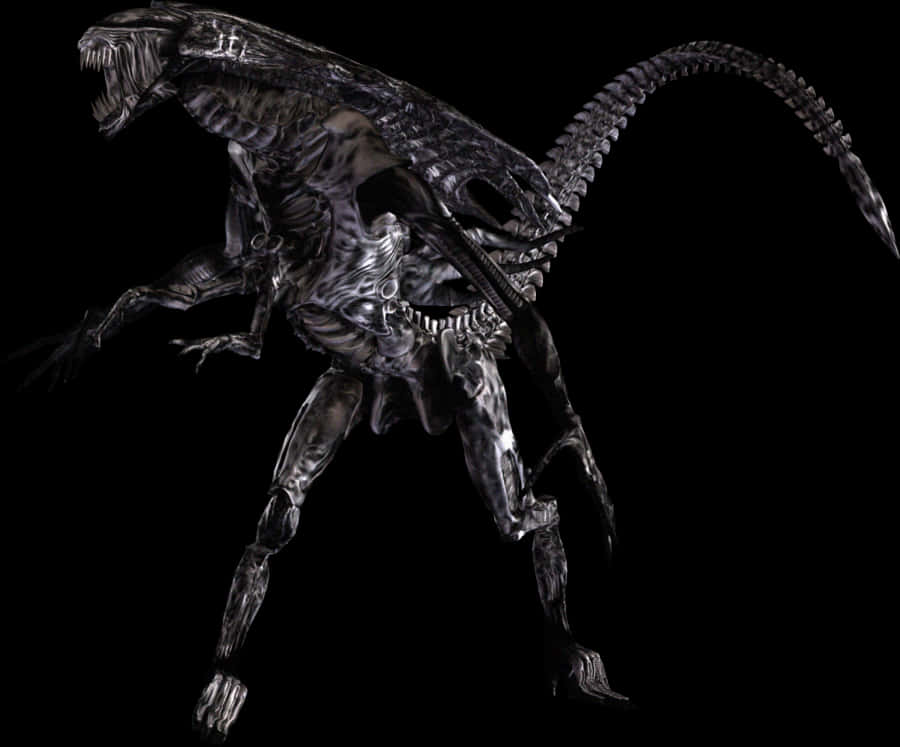 異形生物 Xenomorph 壁紙