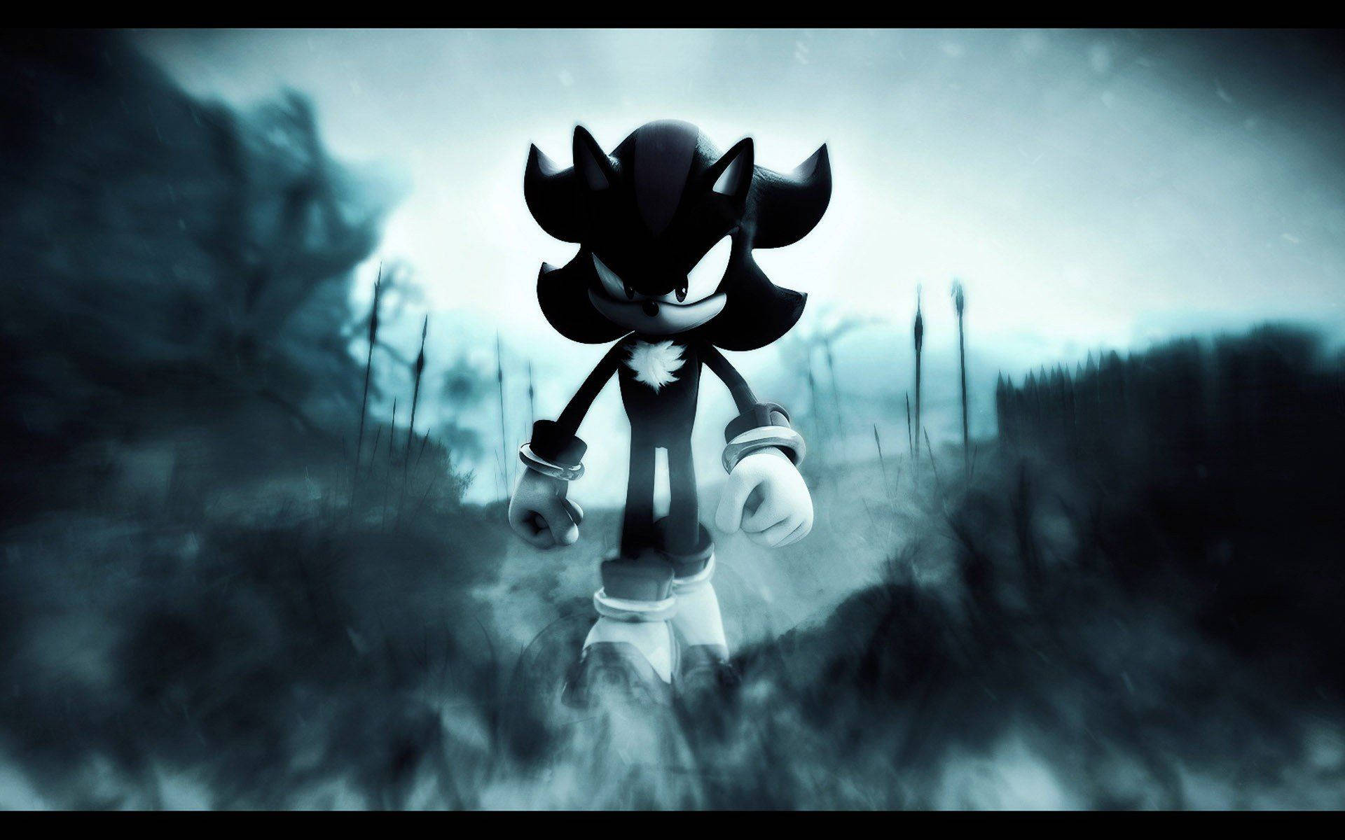疾馳暗影索尼克 壁紙 — Shadow the Hedgehog 在陰沉天空下的迷霧黑暗森林中威風凜凜地站立。