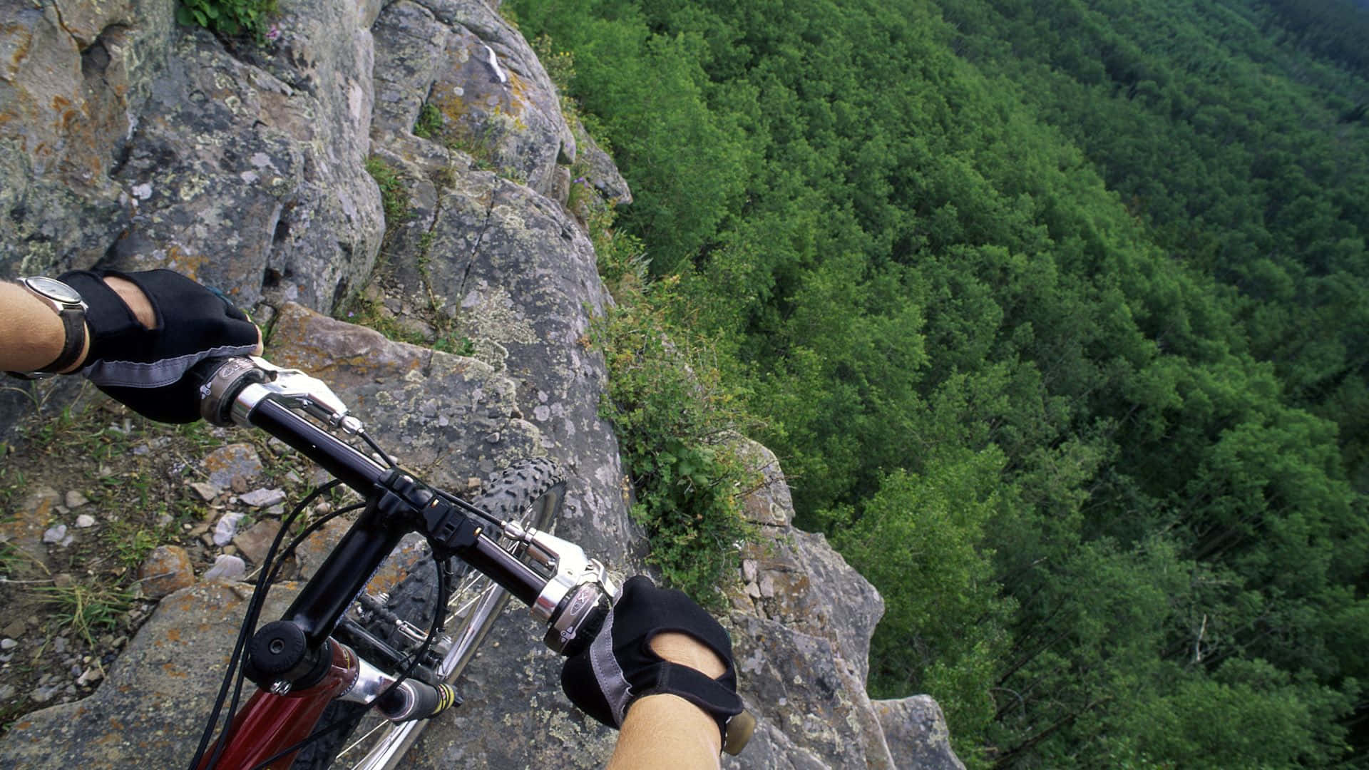 Mtb 桌布 壁紙 — 登山單車手在岩石懸崖邊緊握把手的第一人稱視角，俯瞰下方茂密的綠色森林。