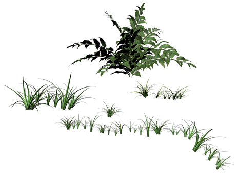 發光植物夜景 壁紙