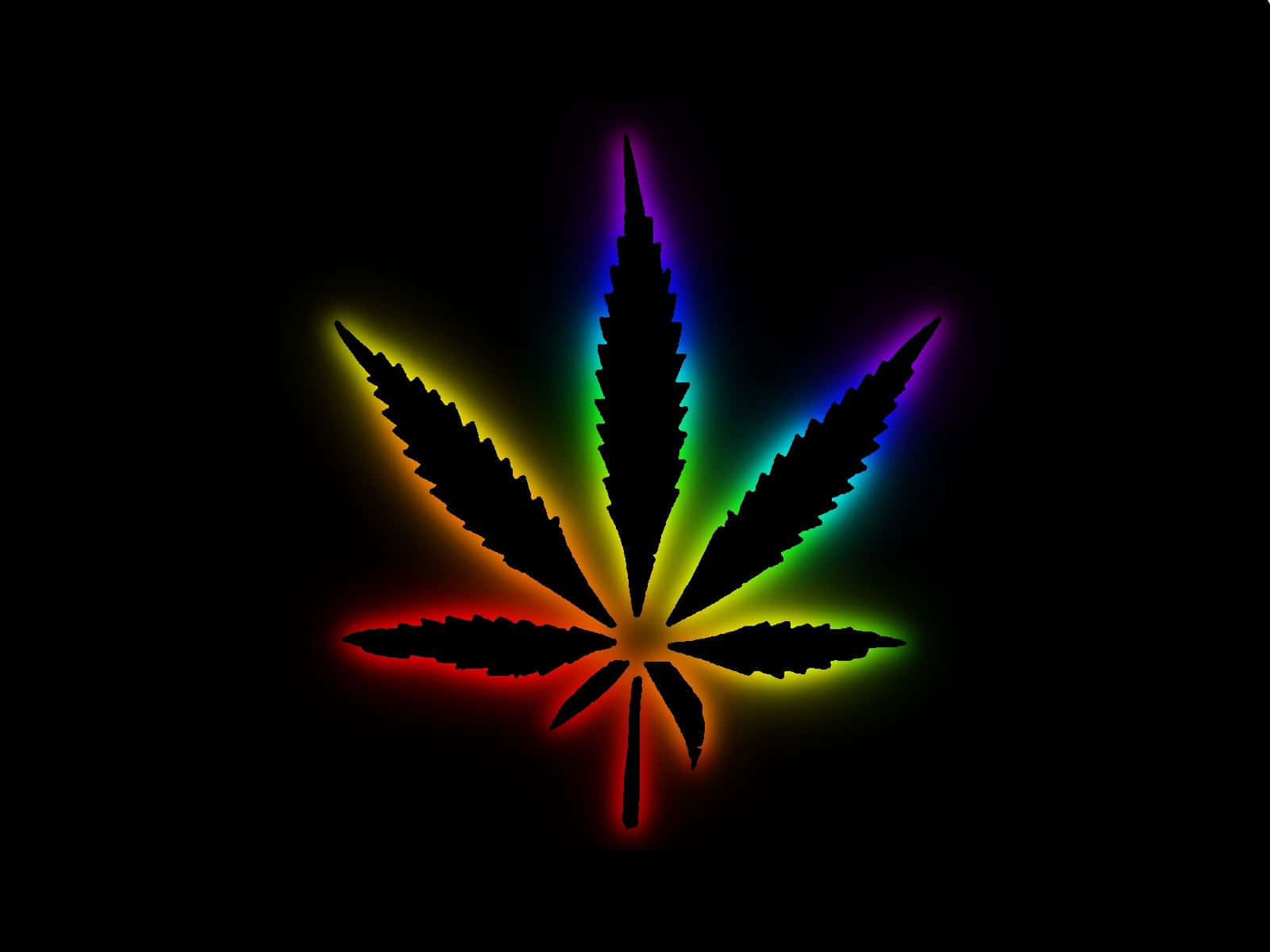 420 桌布 壁紙 — 發光的彩虹大麻葉剪影在純黑色背景上散發光芒。