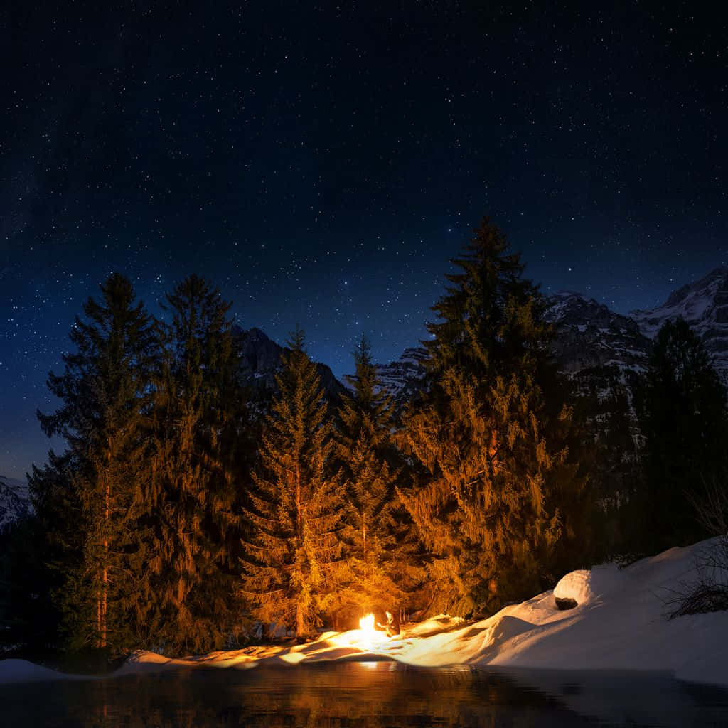 Campfire 桌布 壁紙 — 發光的營火照亮了星空冬夜下寧靜湖邊積雪的松樹。