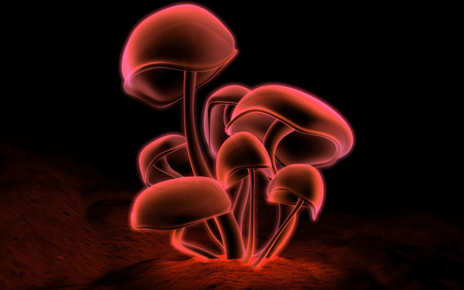Kawaii Mushroom 桌布 壁紙 — 發光的紅色蘑菇帶有半透明菌蓋，從黑色背景前的暗土中冒出。