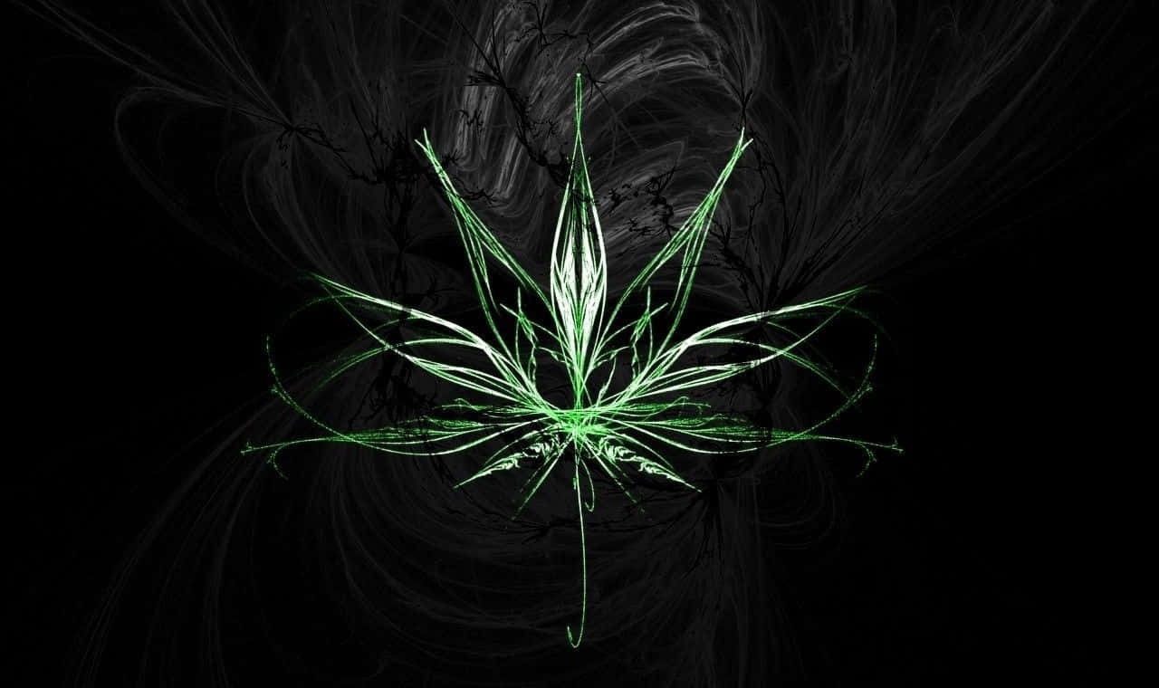 大麻 桌布 壁紙 — 發光的綠色分形大麻葉在旋轉的黑灰色抽象背景中散發光芒。