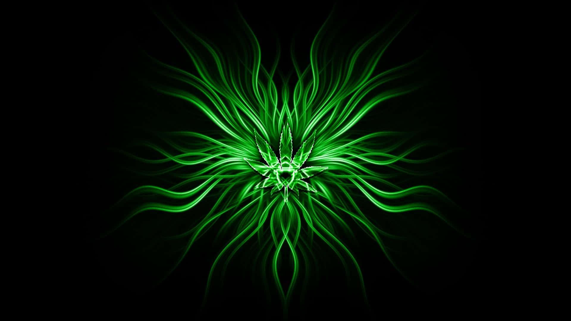 大麻 桌布 壁紙 — 發光的綠色分形大麻葉在純黑色背景上散發出電光般的卷鬚。