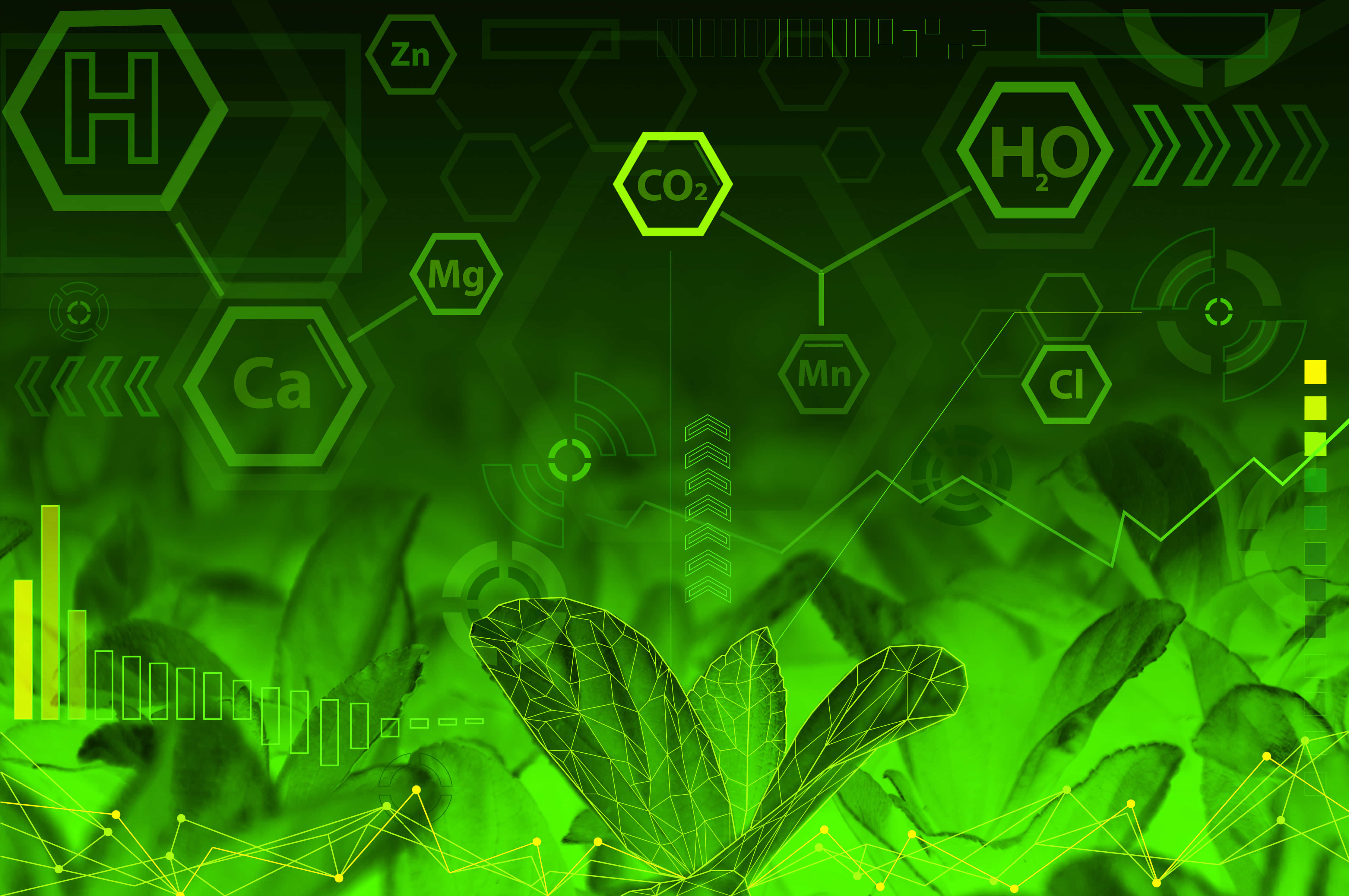 Green Chemistry 桌布 壁紙 — 發光的綠色數碼覆蓋層，包含化學符號和數據圖表，懸浮在植物葉片上方，呈現未來主義的科學可視化效果。