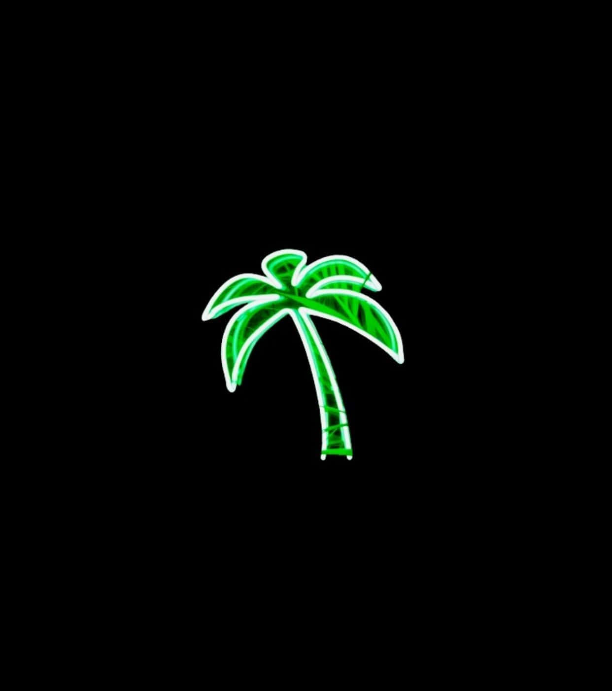 Palm 桌布 壁紙 — 發光的綠色霓虹棕櫚樹剪影在純黑色背景上脫穎而出。