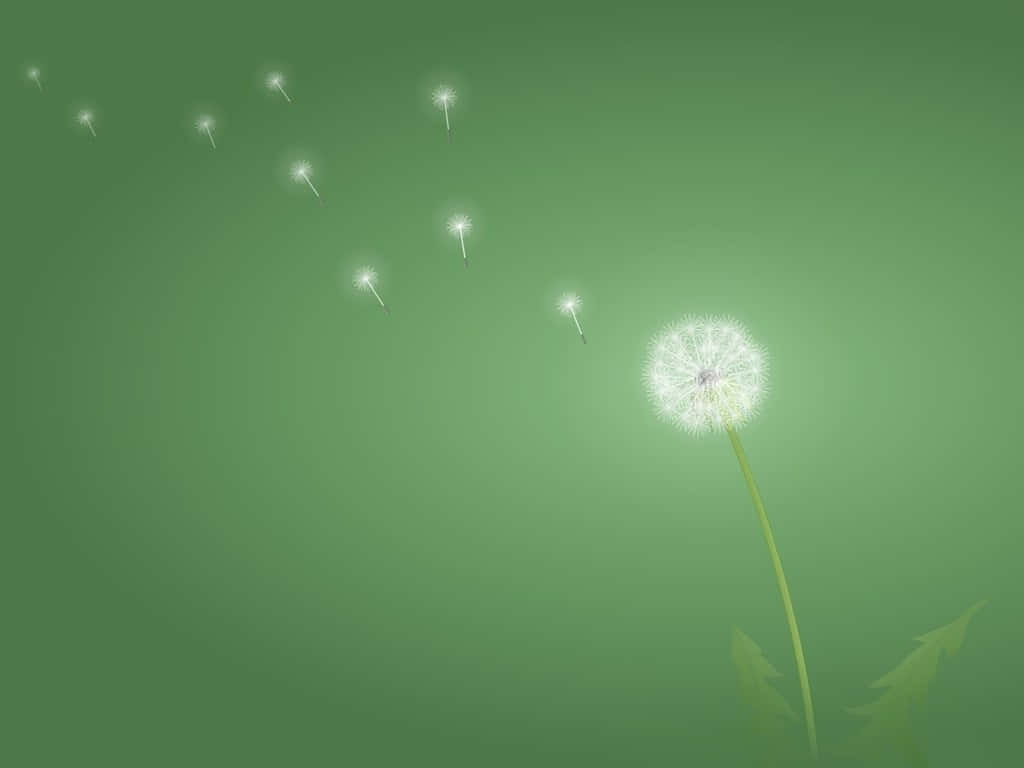Green Minimalistic 桌布 壁紙 — 發光的蒲公英種子頭將蓬鬆的白色種子釋放到柔和的綠色漸變天空中。