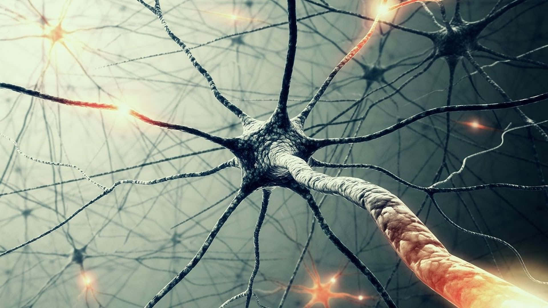 神經元特寫，在深色網絡中帶有發光的突觸。