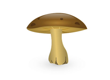發光蘑菇插圖 壁紙