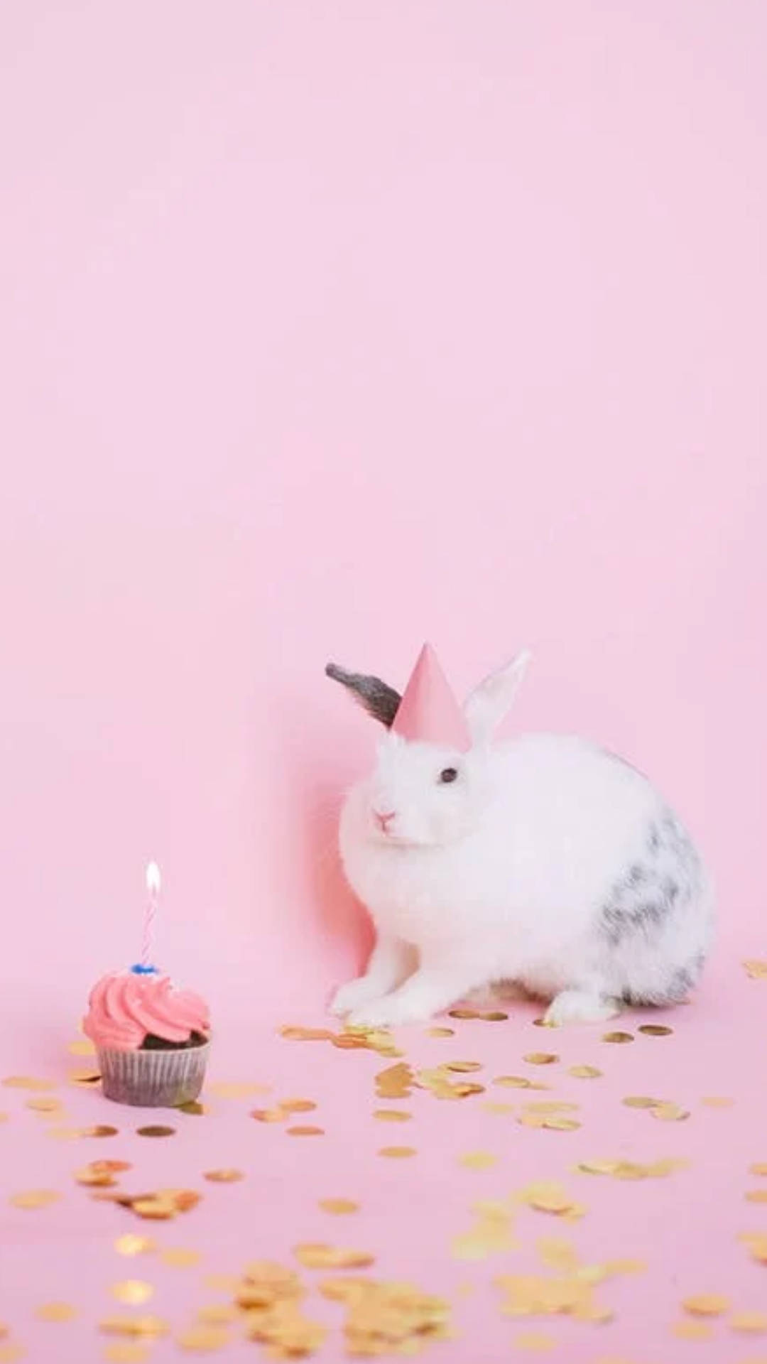 白兔生日 壁紙 — 一隻戴著粉紅色派對帽的白兔坐在一個有燃點蠟燭的杯子蛋糕旁邊，地上是粉紅色地板，散落著金色紙屑。