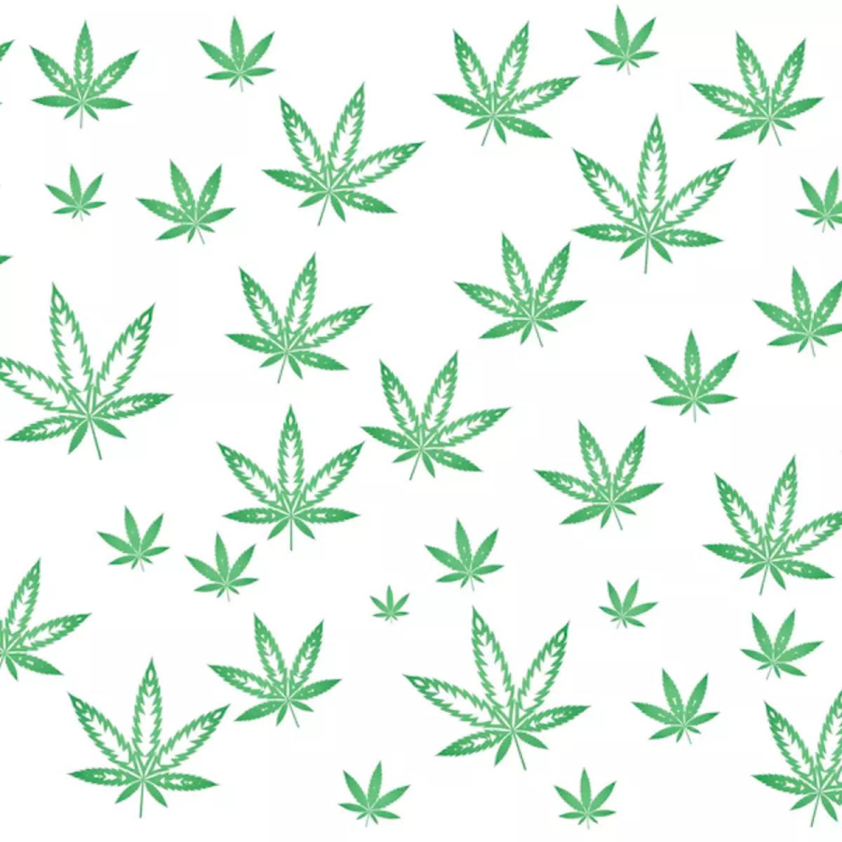 白色背景上的綠色大麻葉圖案
