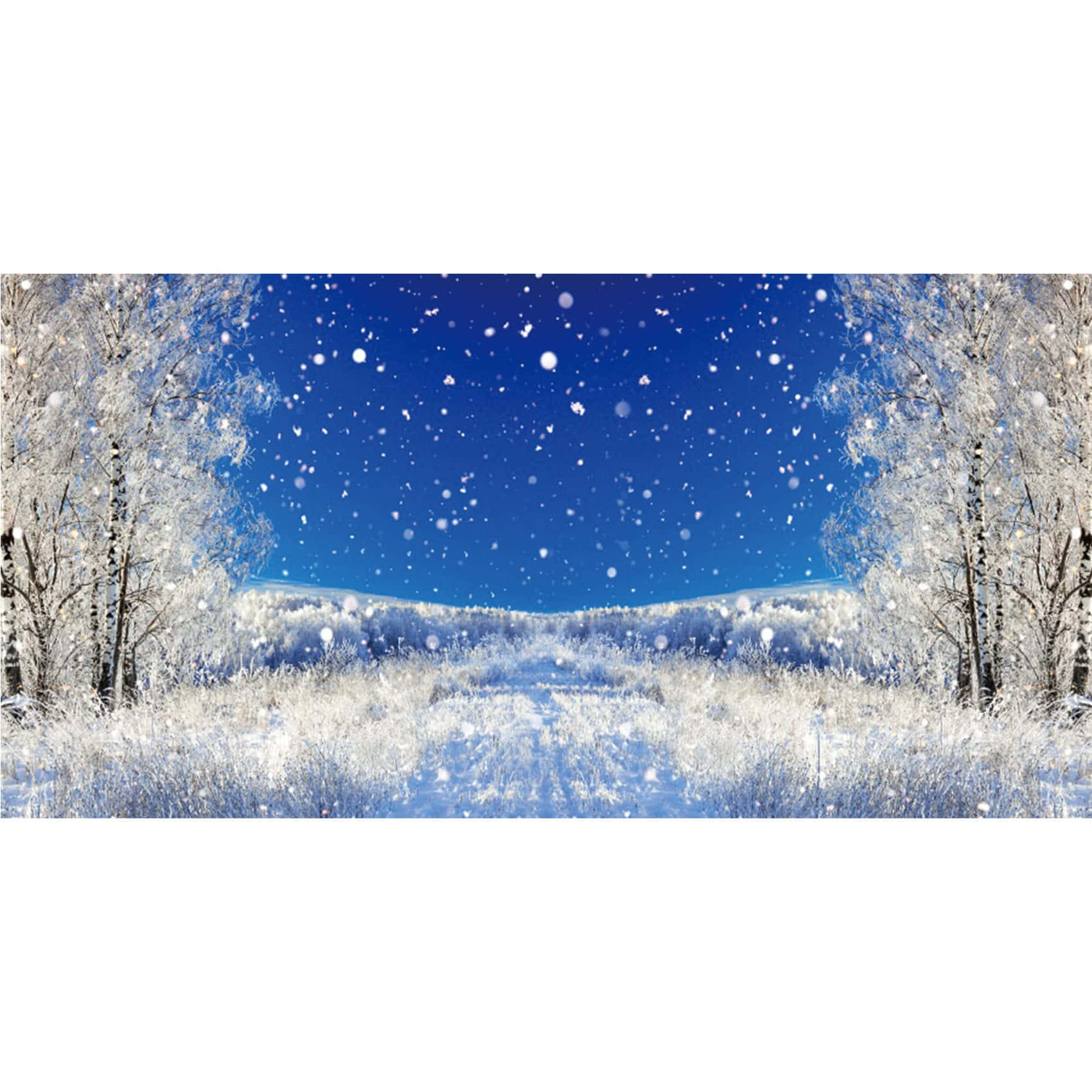 結霜的冬日田野，在晴朗的藍天下飄雪，以白樺樹為框。