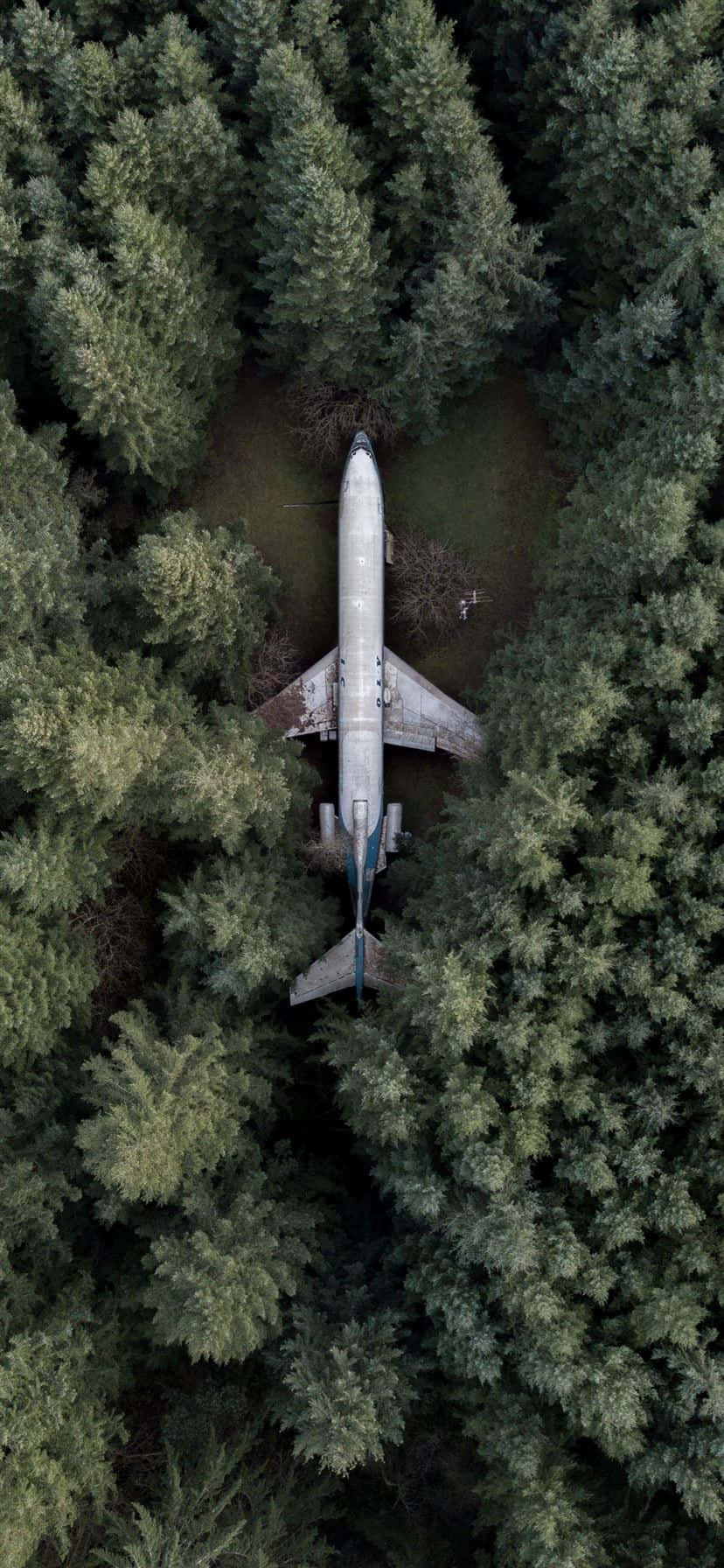 白機飛越藍天，iPhone 壁紙 — 一架墜毀飛機位於茂密綠色松樹林中的鳥瞰圖。