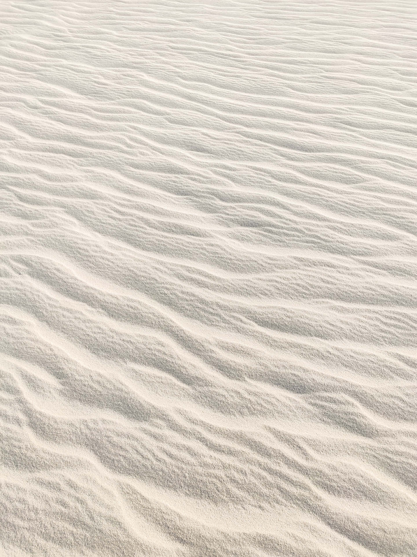 沙漠景觀中波紋狀白色沙丘的特寫。