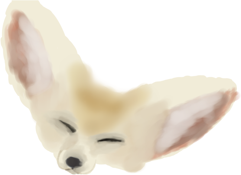 白狐頭部插畫 壁紙 — 一幅寧靜的水彩插圖，描繪一隻閉著眼睛、耳朵大大的耳廓狐，背景為黑色。