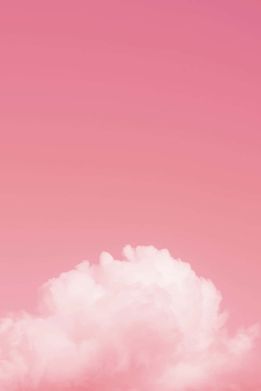 一朵蓬鬆的白雲在柔和的粉紅色天空上