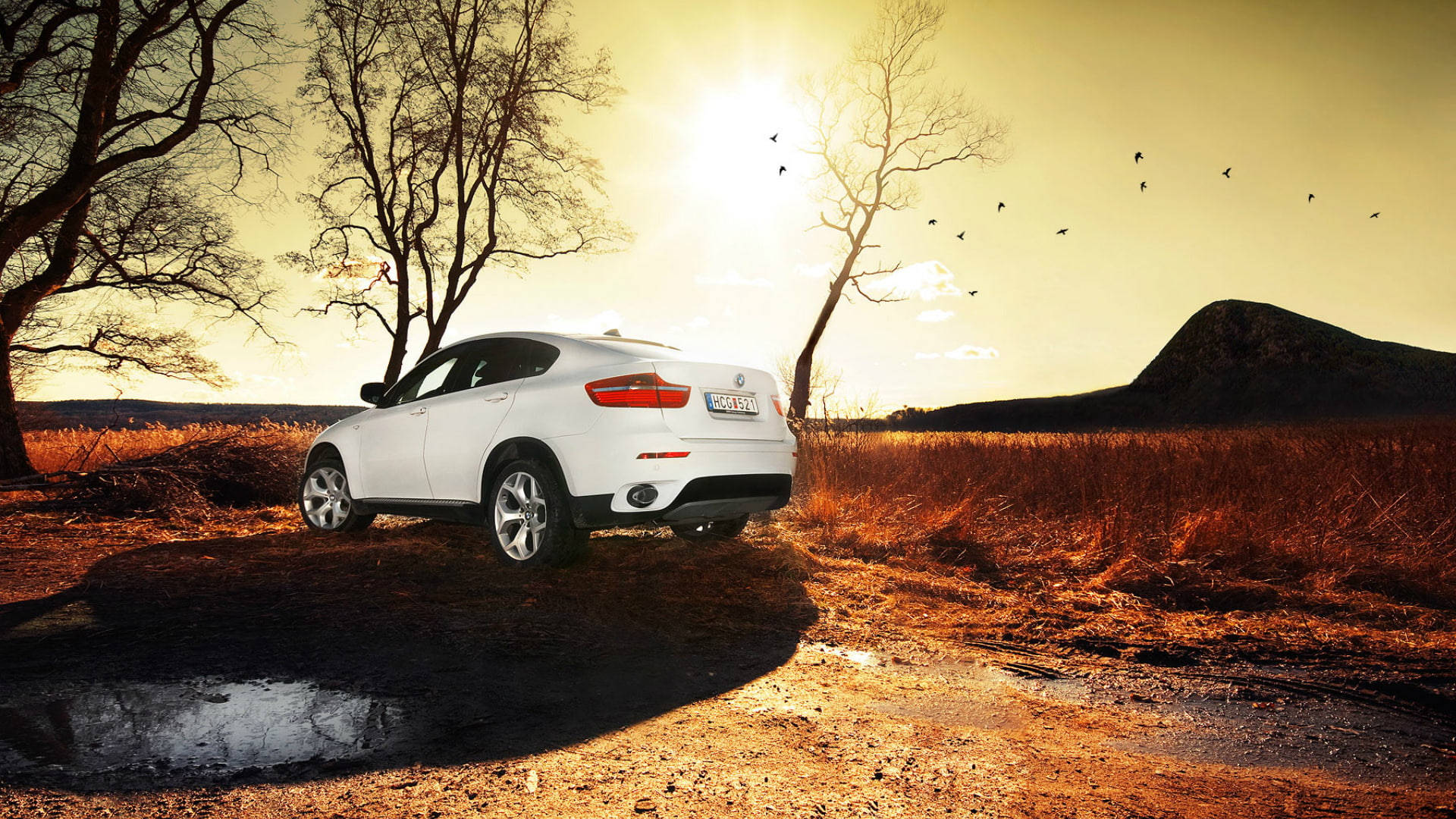 白色 BMW X6 M 暮色中盡顯尊貴 壁紙 — 一輛白色SUV在黃金時刻停泊在泥路上，禿樹和飛鳥襯托著溫暖的日落天空。
