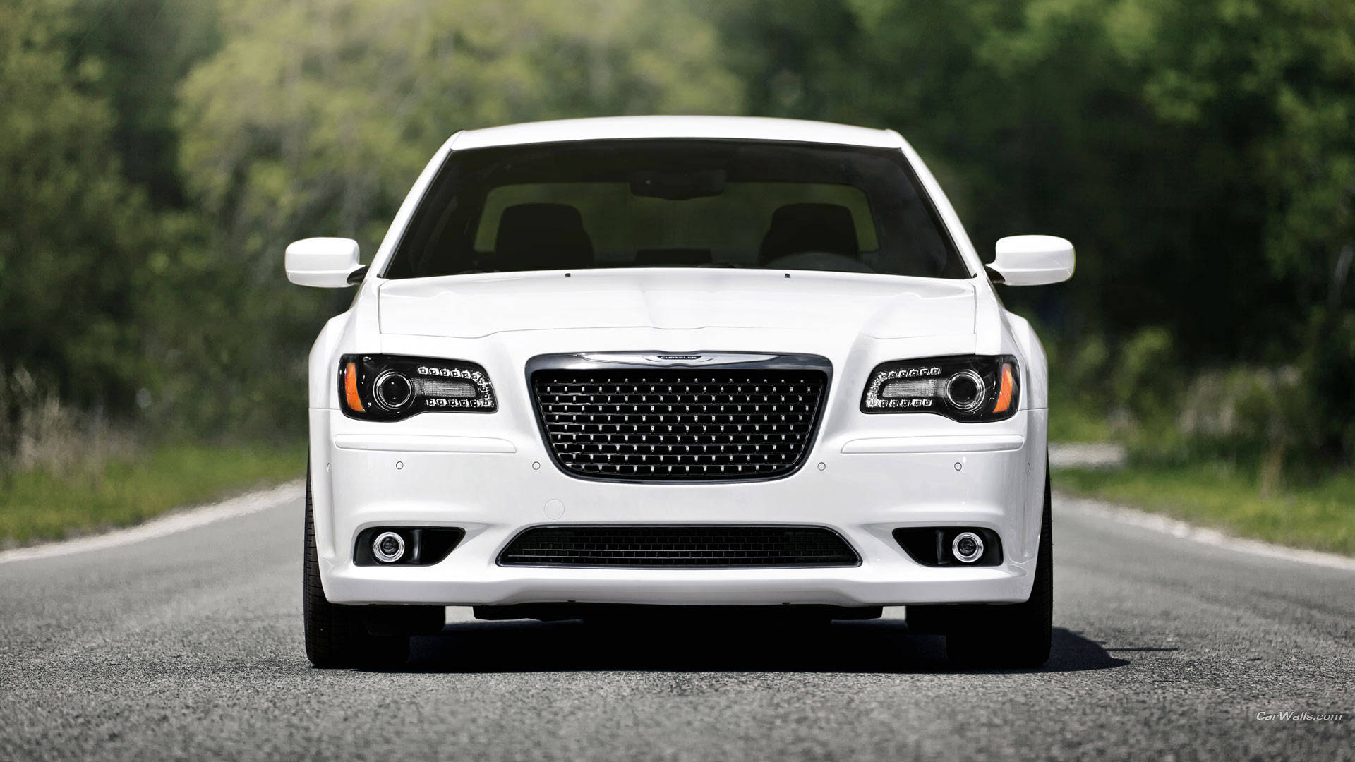白色 Chrysler 車款 壁紙 — 一架純白色的 Chrysler 300 房車在陽光明媚的瀝青路上向前行駛，兩旁綠樹成蔭。