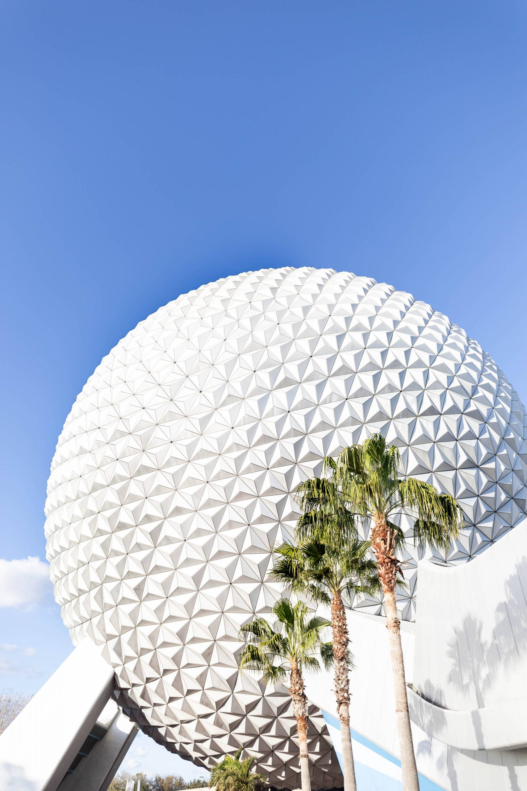 白色 Epcot 球體 壁紙 — 從低角度觀看艾波卡特標誌性的白色測地線球體「地球飛船」，棕櫚樹襯托著清澈的藍天。