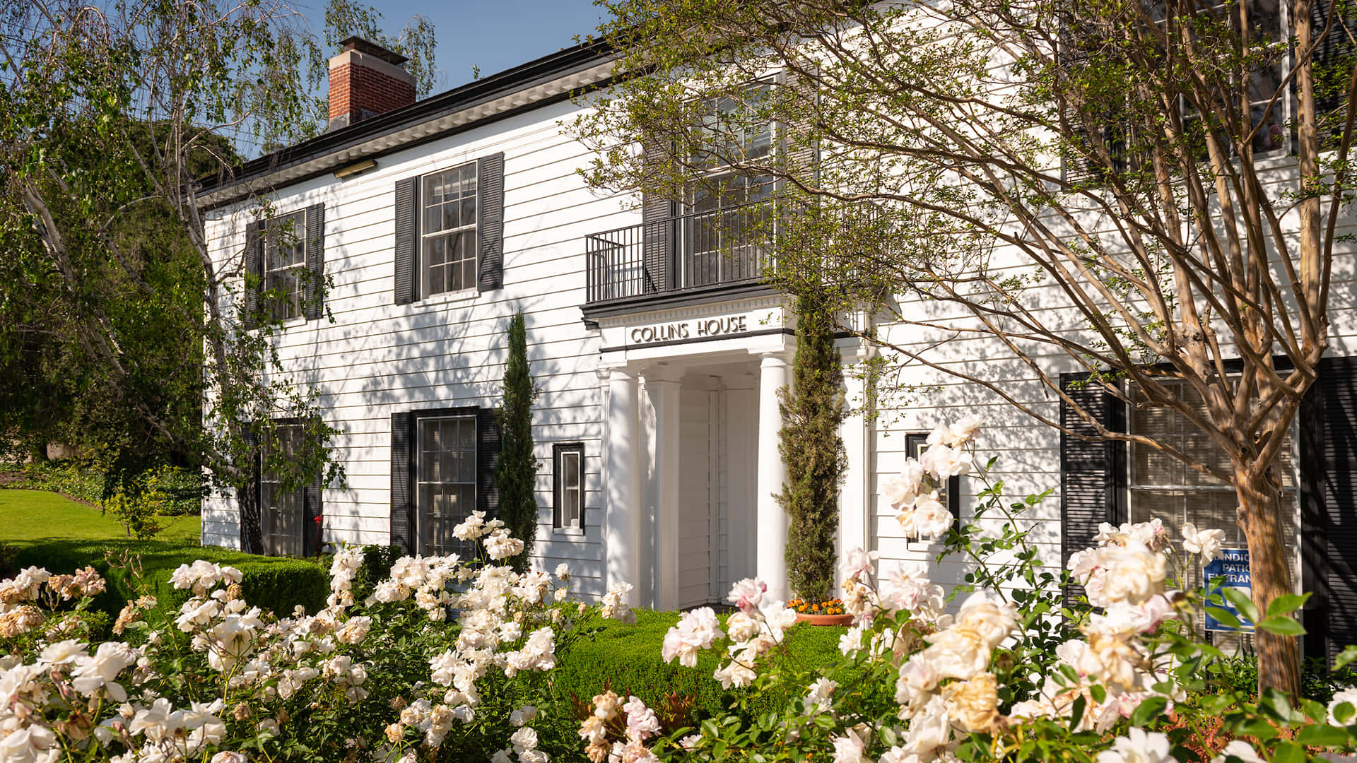 白色殖民風格房屋，周圍環繞著盛開的玫瑰和綠色草坪。