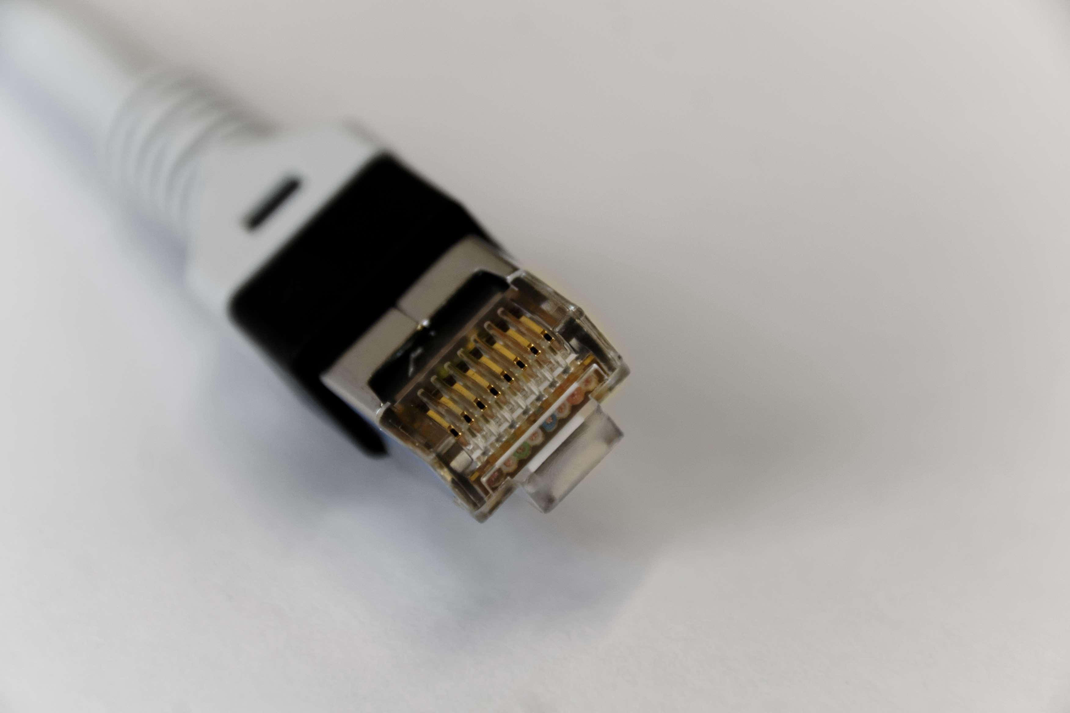 Ethernet 桌布 壁紙 — 白色以太網電纜連接器帶金色觸點的特寫，背景為純白色。