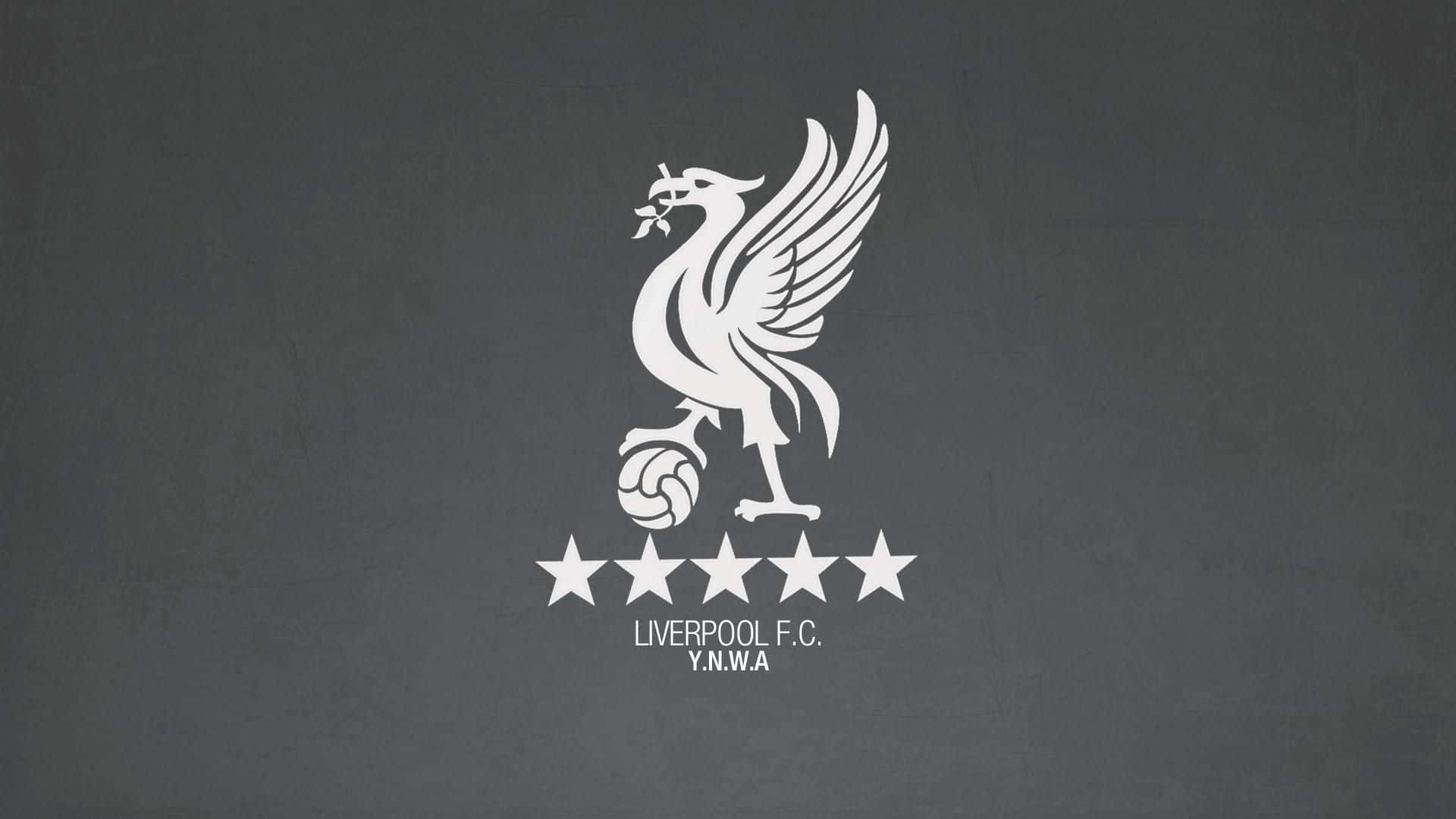 Liverpool Logo 桌布 壁紙 — 白色利物浦足球會徽章，上有帶翼利物鳥手持足球及五顆星，背景為深灰色紋理。